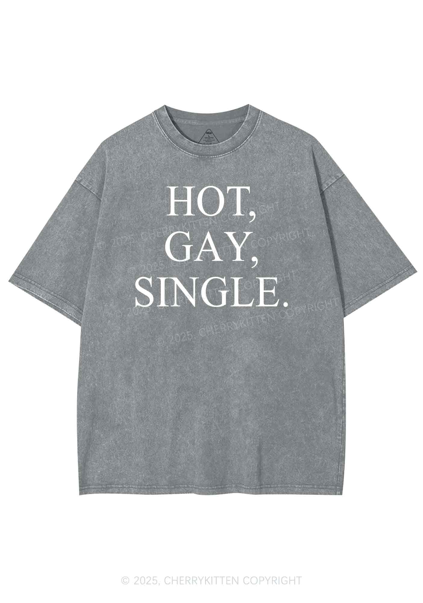 Hot Gay Single Pride Y2K Shirts Washed Tee Cherrykitten - Image 7