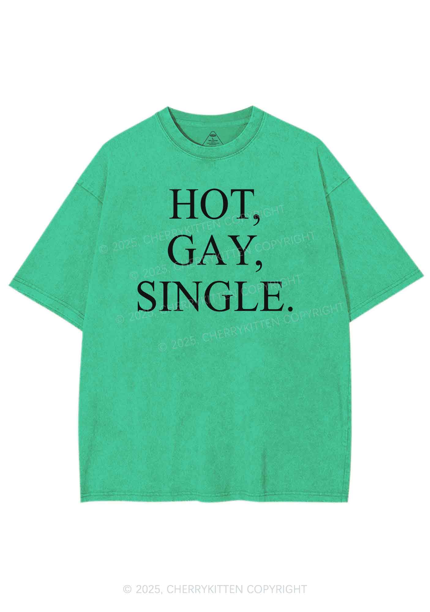 Hot Gay Single Pride Y2K Shirts Washed Tee Cherrykitten - Image 8