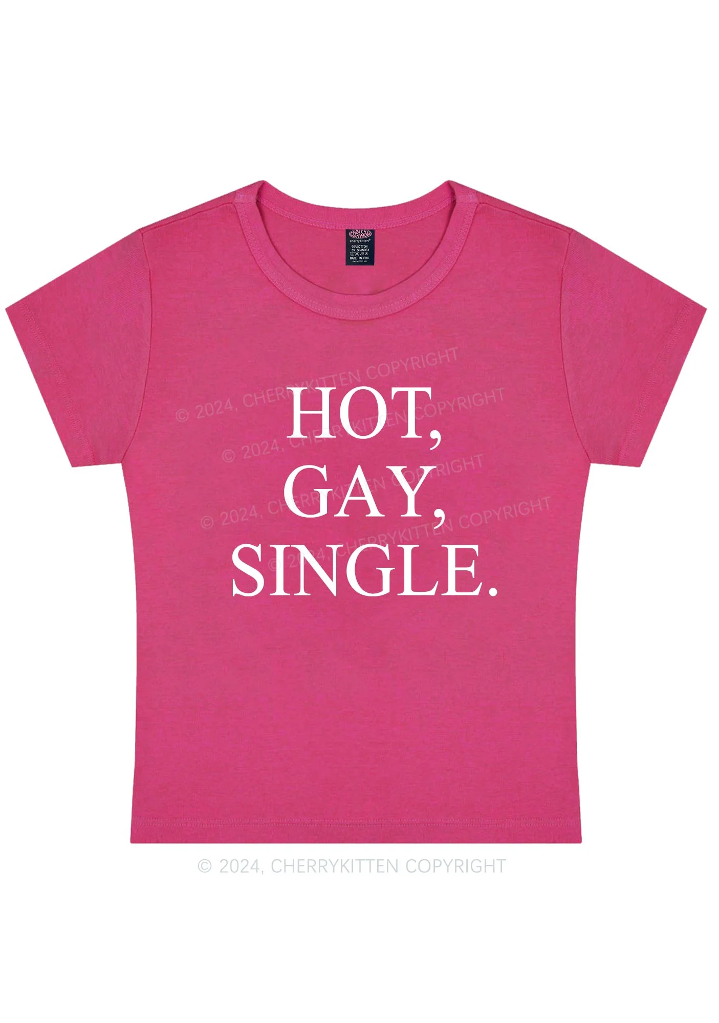 Hot Gay Single Y2K Baby Tee Cherrykitten - Image 9