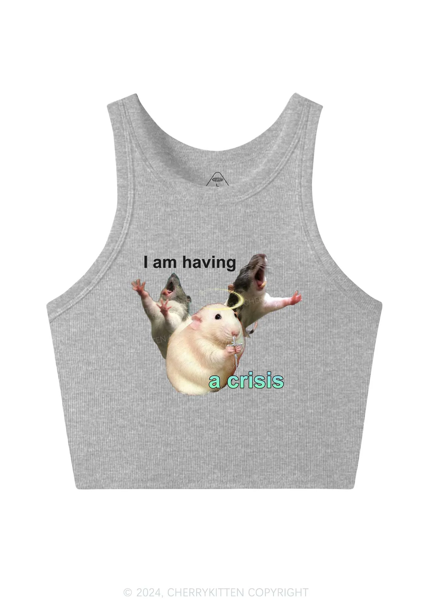 I Am Having Crisis Y2K Crop Tank Top Cherrykitten - Image 5