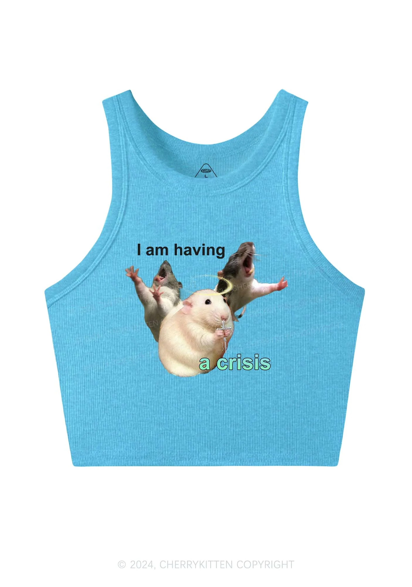 I Am Having Crisis Y2K Crop Tank Top Cherrykitten - Image 6