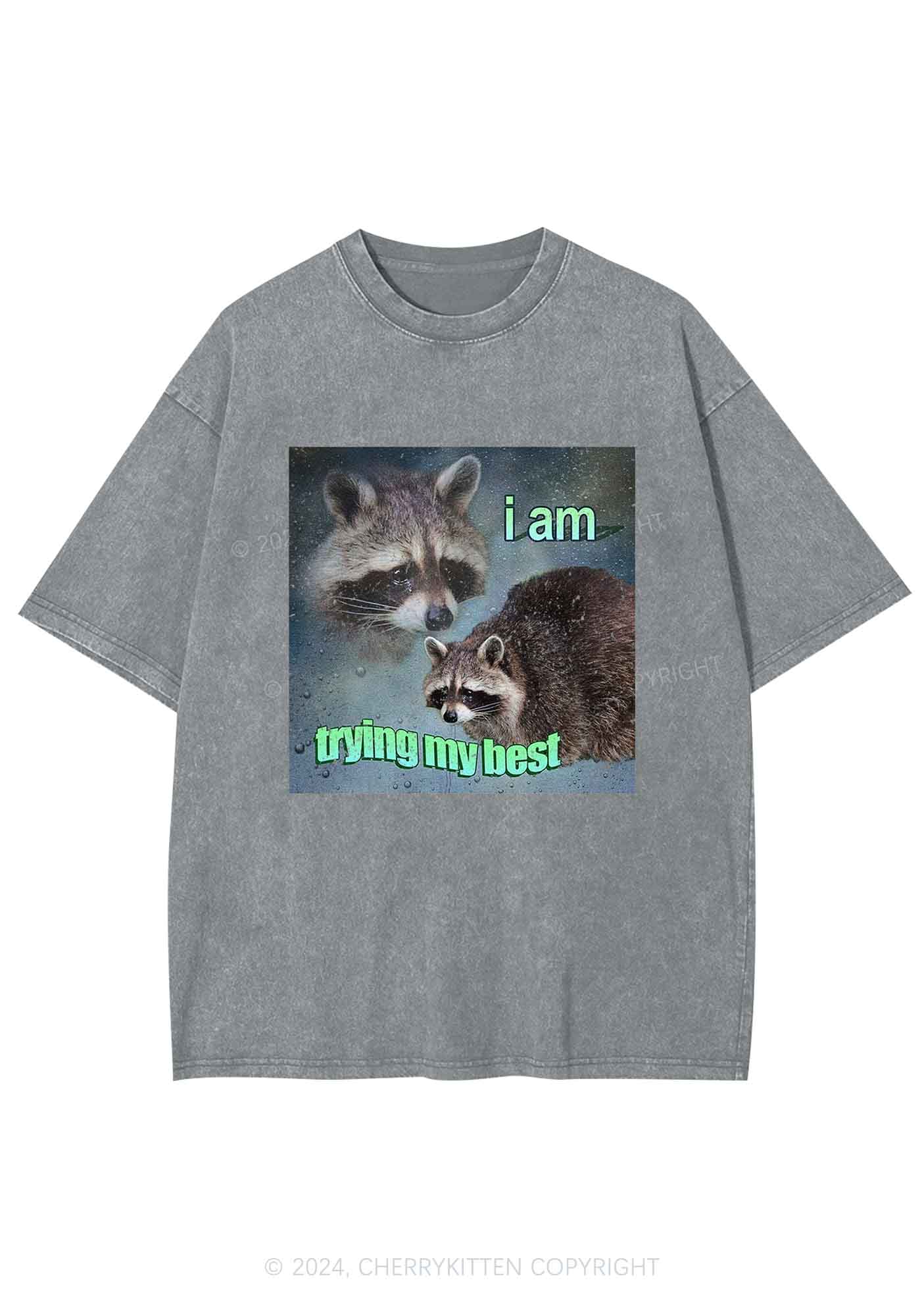 I Am Trying My Best Raccoon Y2K Washed Tee Cherrykitten - Image 3