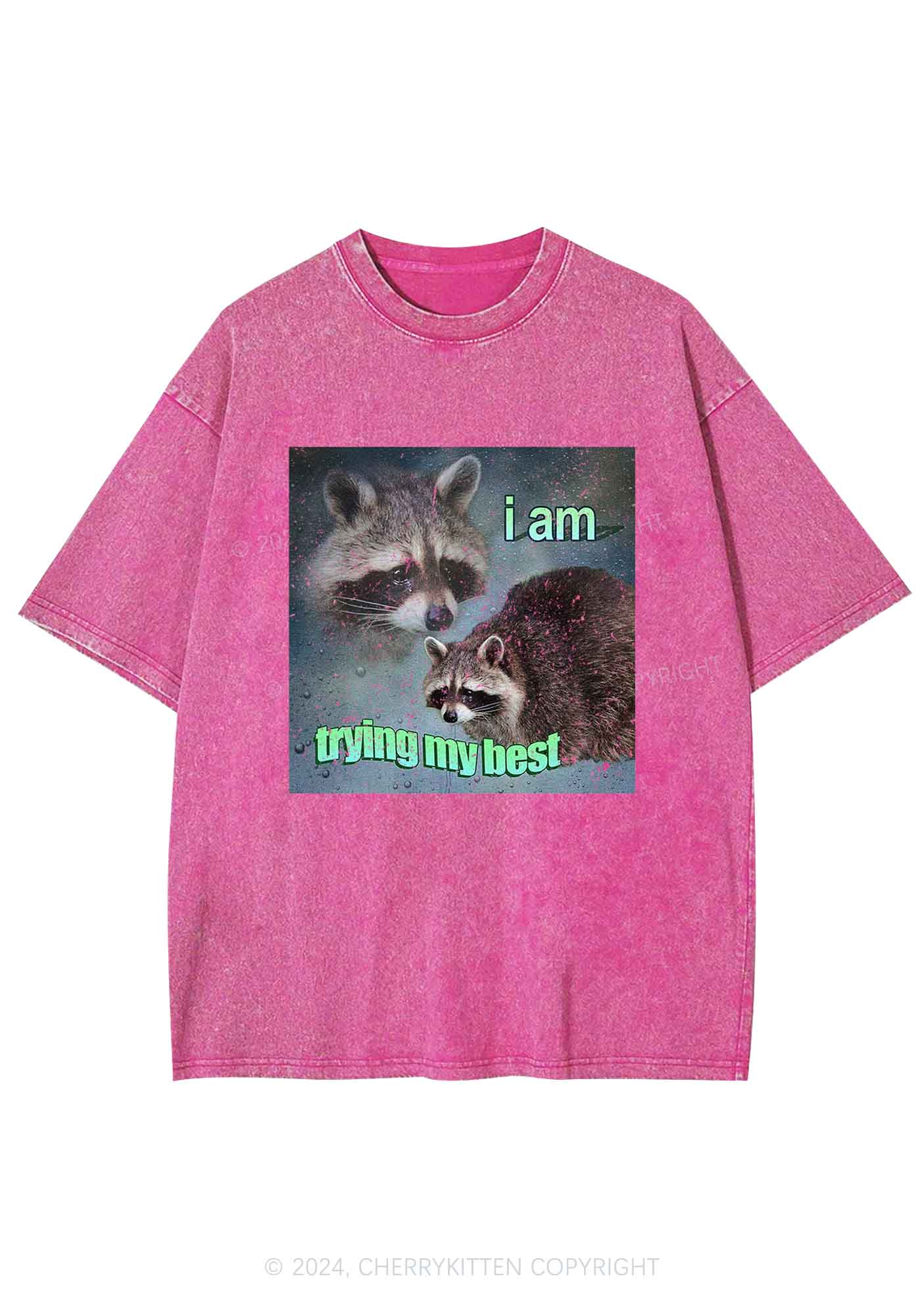 I Am Trying My Best Raccoon Y2K Washed Tee Cherrykitten - Image 4