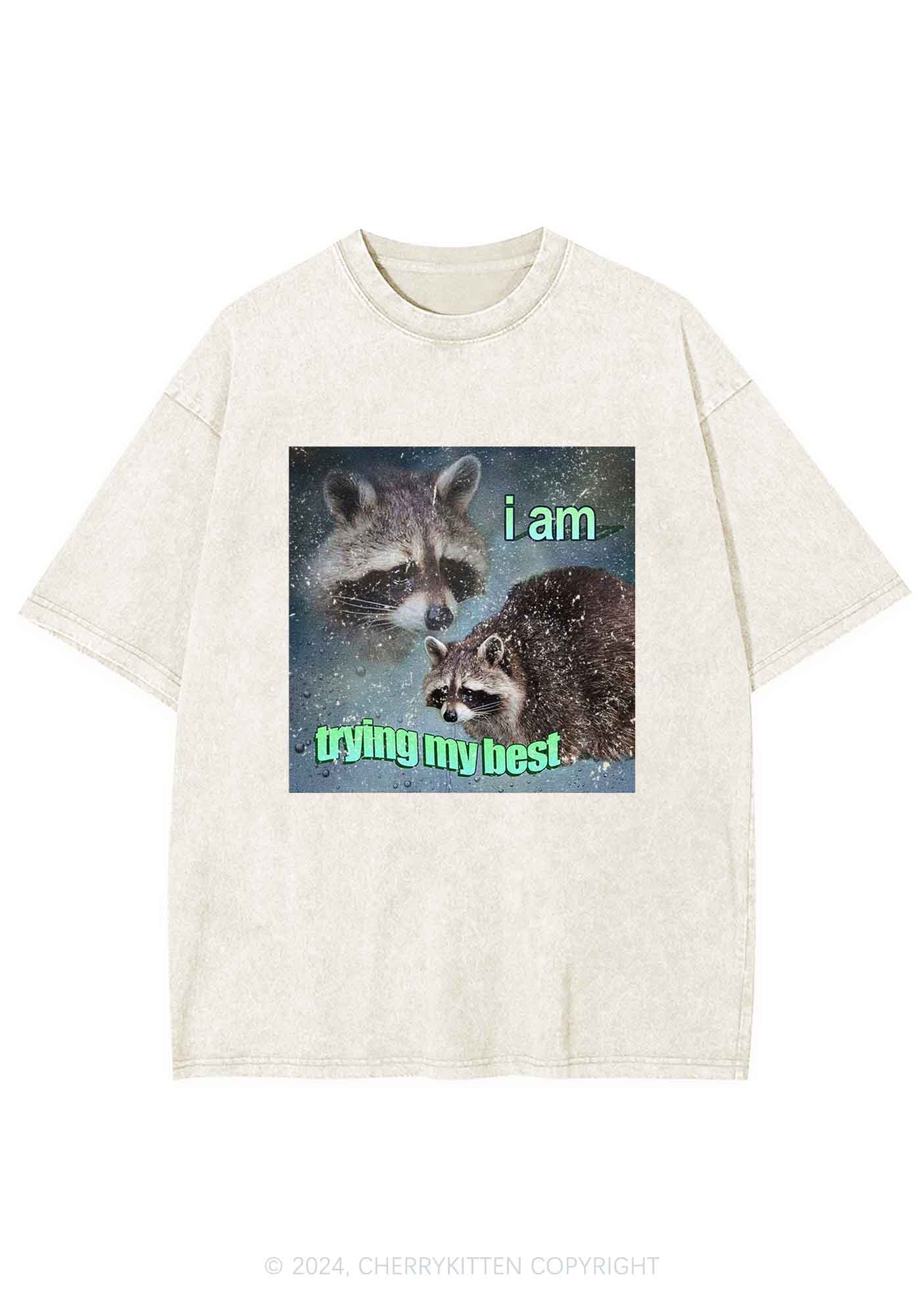 I Am Trying My Best Raccoon Y2K Washed Tee Cherrykitten - Image 5
