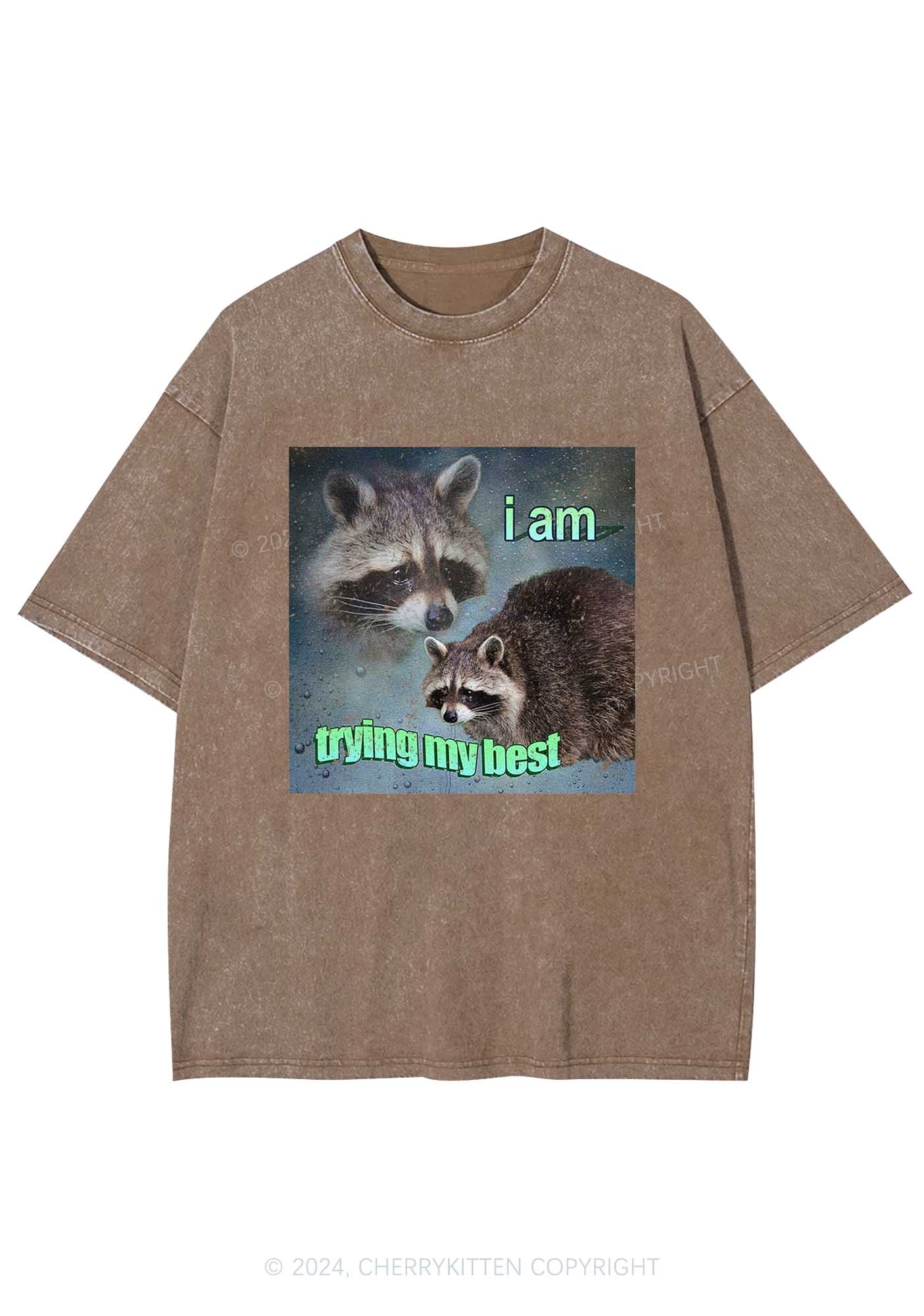 I Am Trying My Best Raccoon Y2K Washed Tee Cherrykitten - Image 6