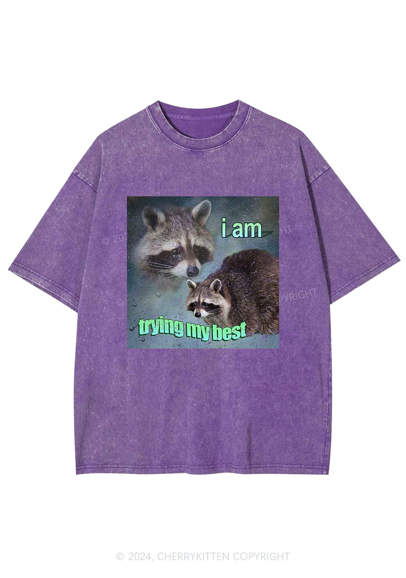 I Am Trying My Best Raccoon Y2K Washed Tee Cherrykitten - Image 7