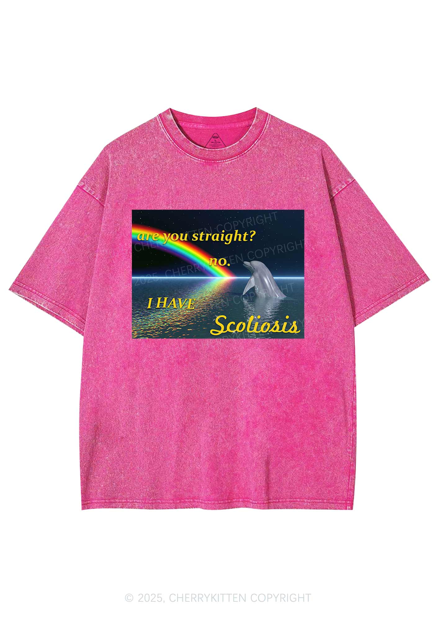 I Have Scoliosis Pride Y2K Shirts Washed Tee Cherrykitten - Image 4