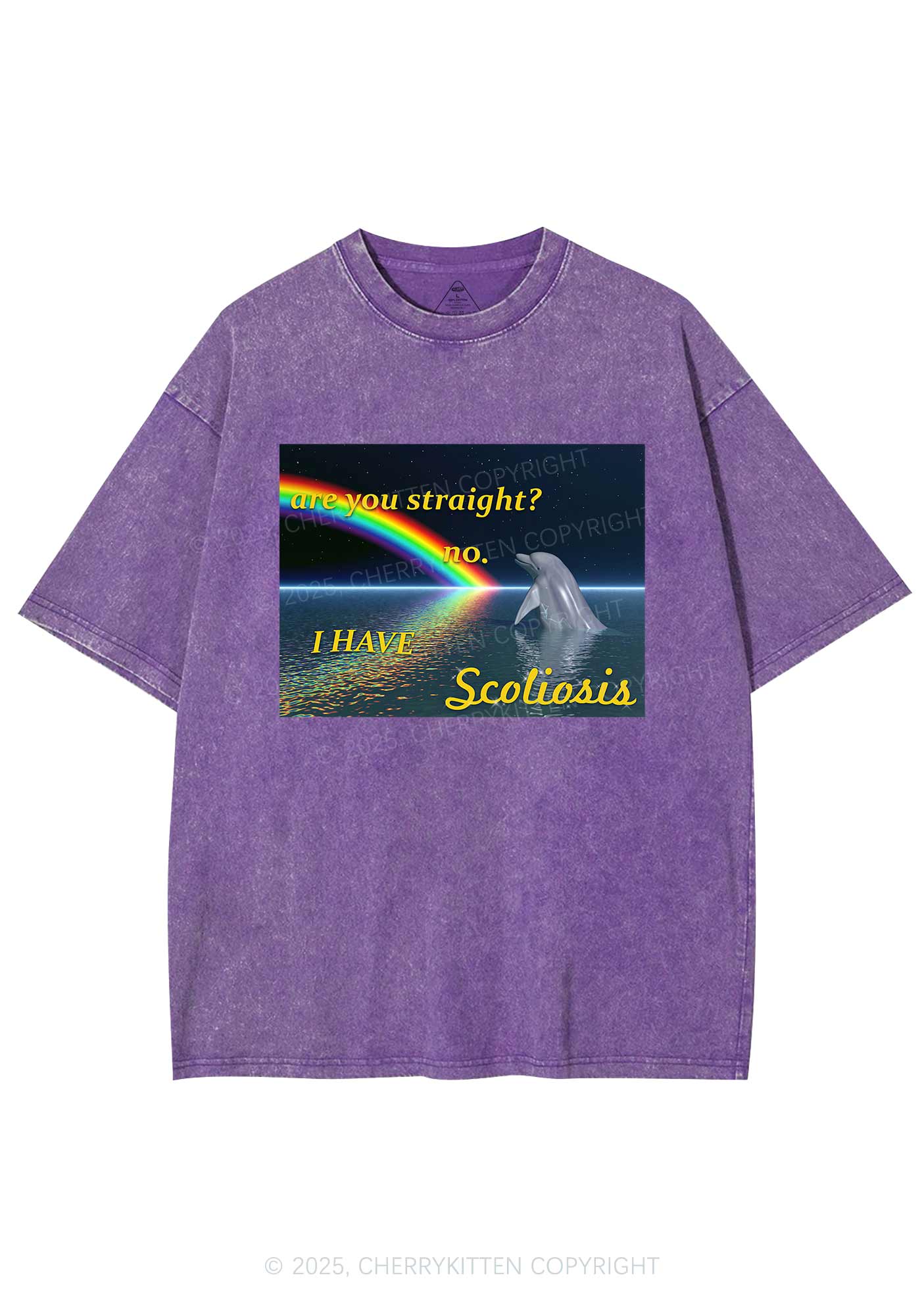 I Have Scoliosis Pride Y2K Shirts Washed Tee Cherrykitten - Image 5