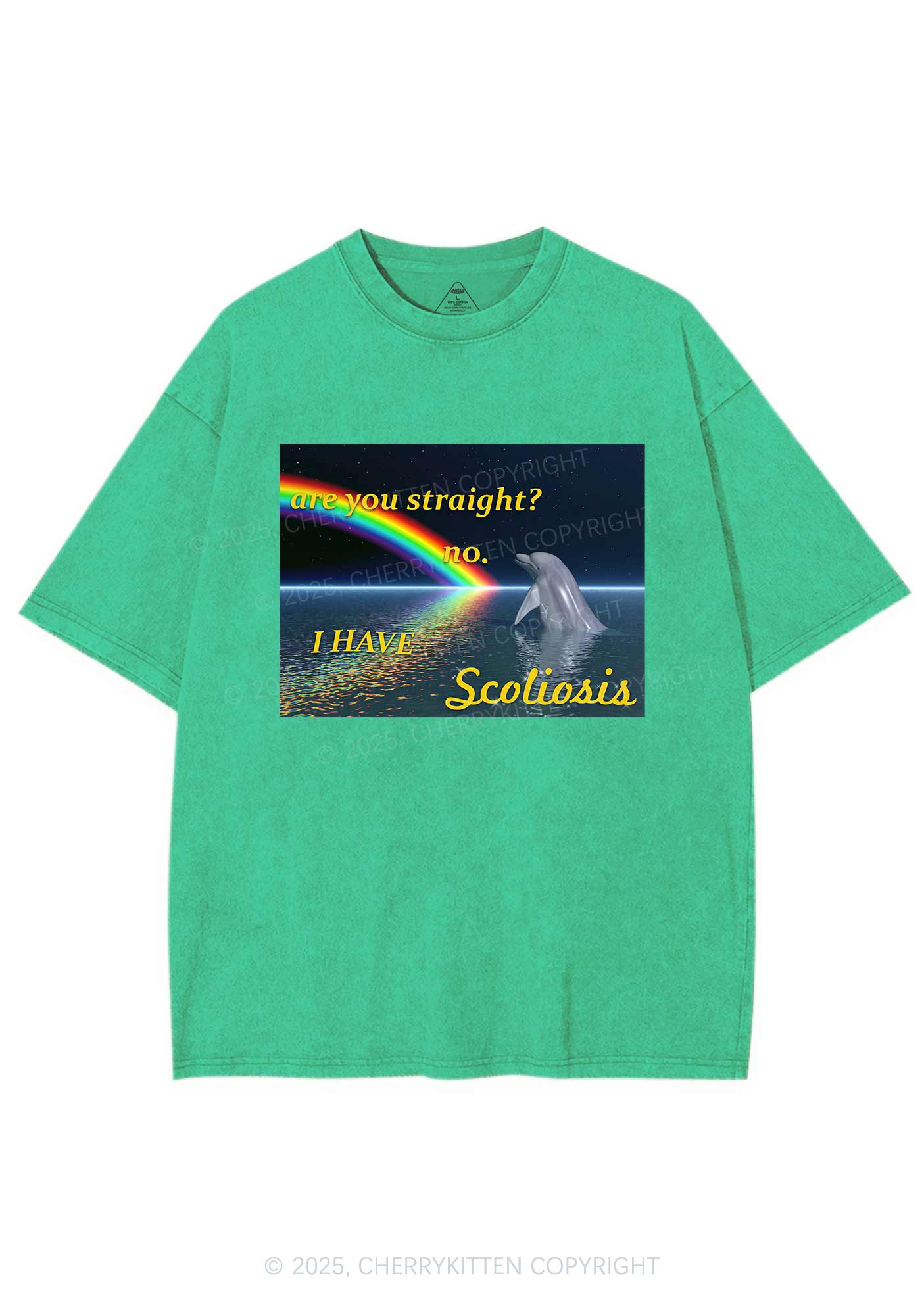 I Have Scoliosis Pride Y2K Shirts Washed Tee Cherrykitten - Image 6
