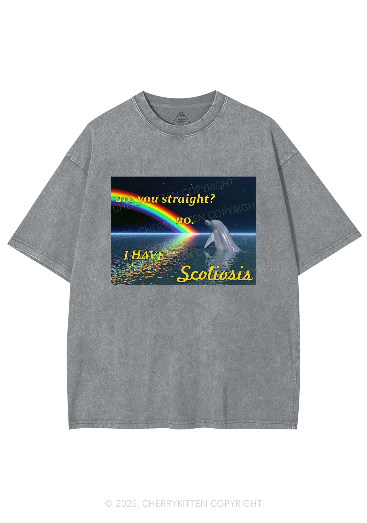 I Have Scoliosis Pride Y2K Shirts Washed Tee Cherrykitten - Image 7