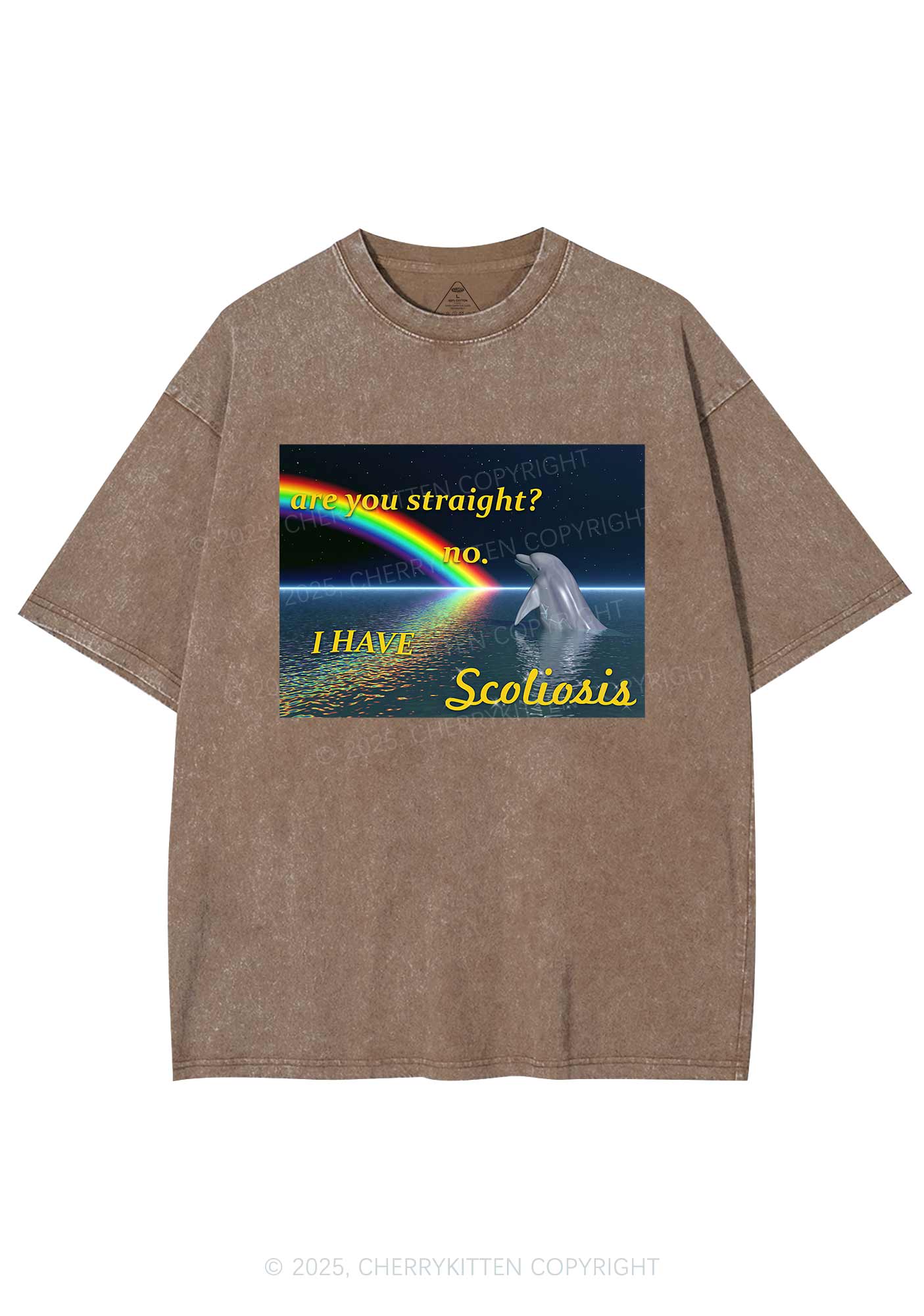 I Have Scoliosis Pride Y2K Shirts Washed Tee Cherrykitten - Image 8