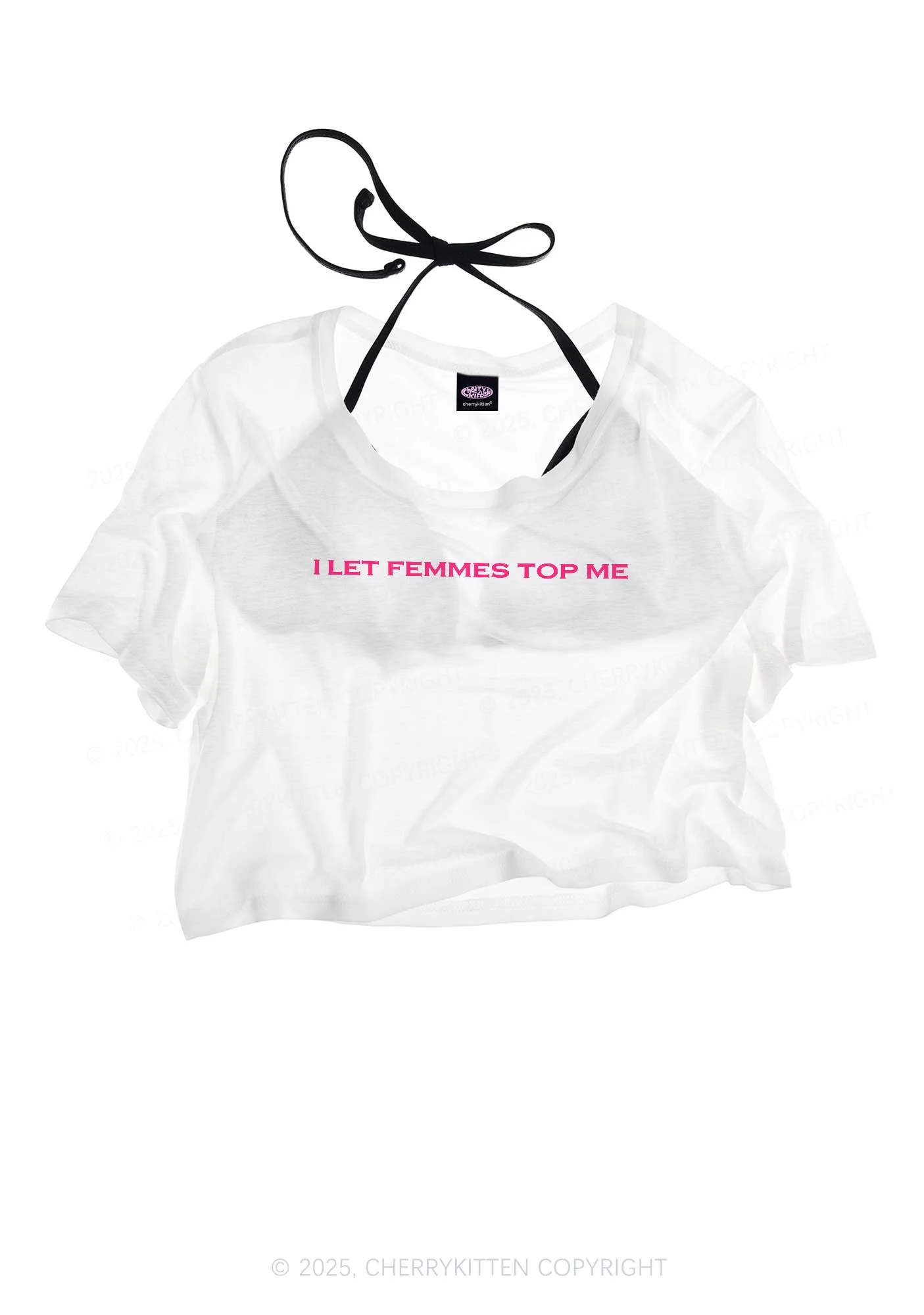 I Let Femmes Top Me Pride Y2K Sheer Crop Tee Cherrykitten - Image 3