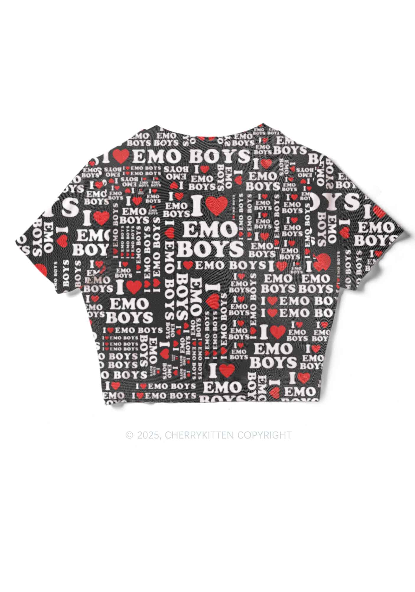 I Love Emo Boys Y2K Mesh Crop Top Cherrykitten - Image 4