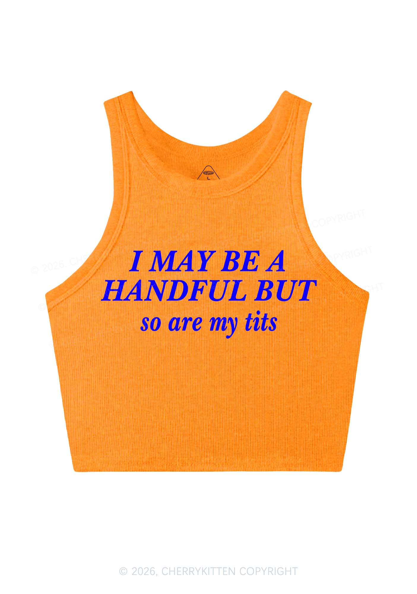 I May Be A Handful Y2K Crop Tank Top Cherrykitten - Image 9