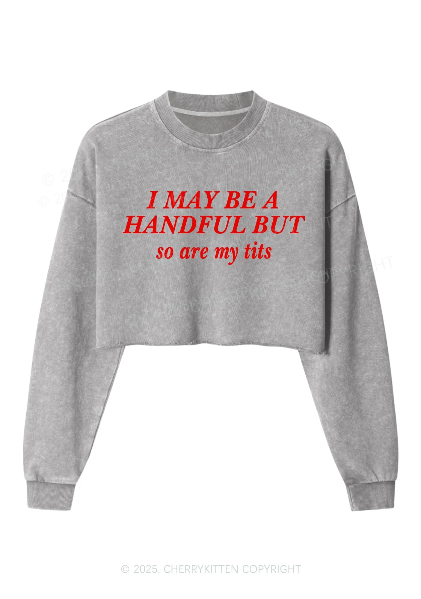 I May Be A Handful Y2K Crop Washed Sweatshirts Cherrykitten - Image 3