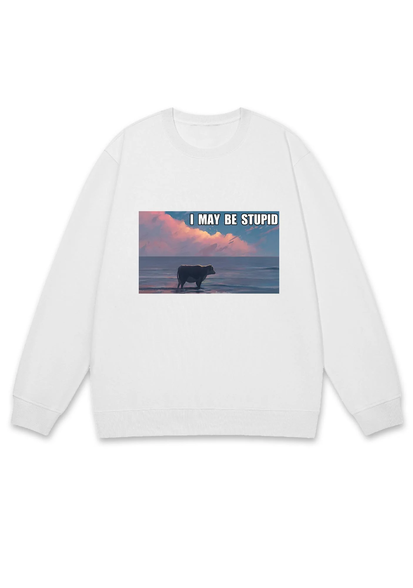 I May Be Stupid Meme Y2K Sweatshirt - Image 2