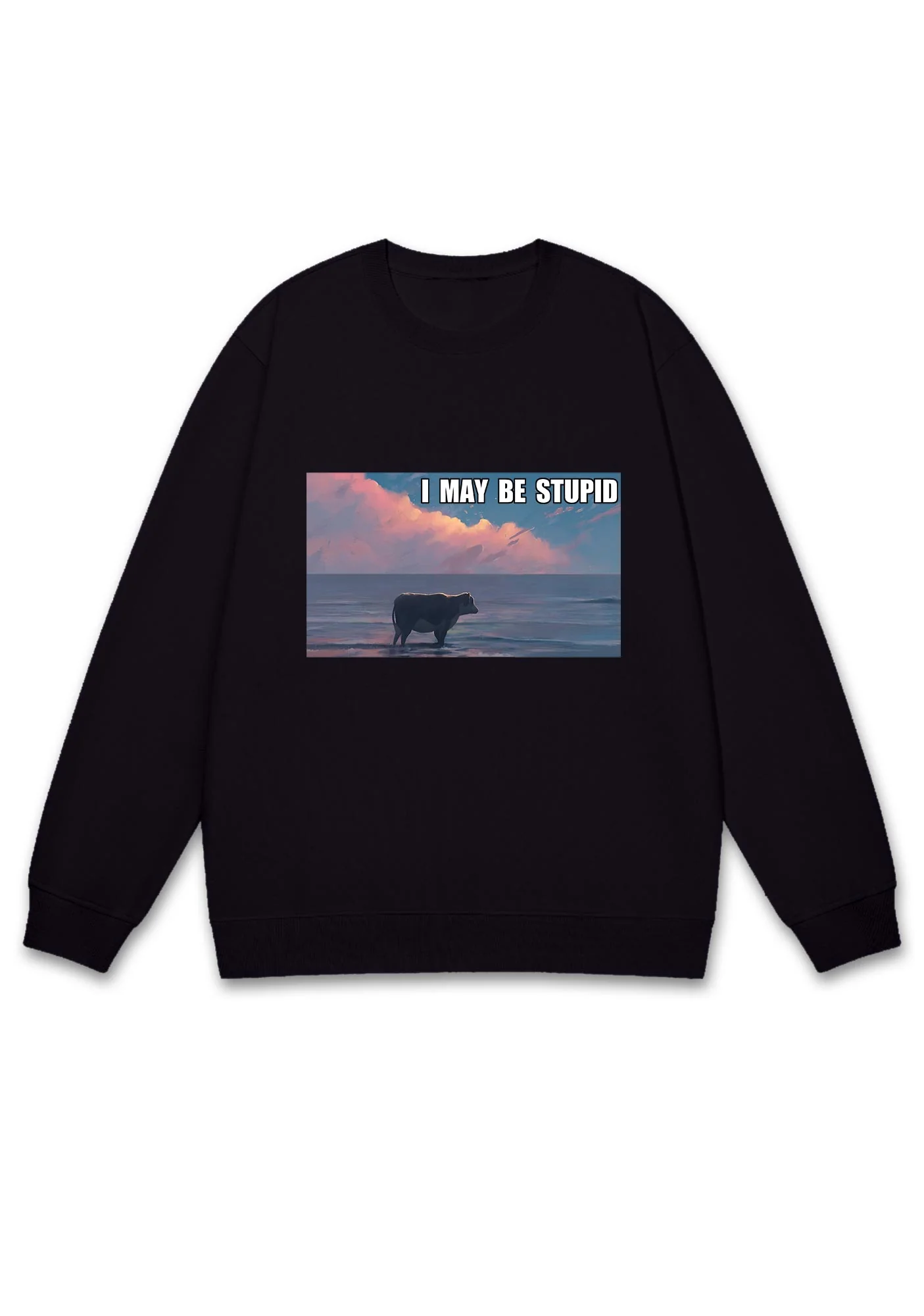 I May Be Stupid Meme Y2K Sweatshirt - Image 3