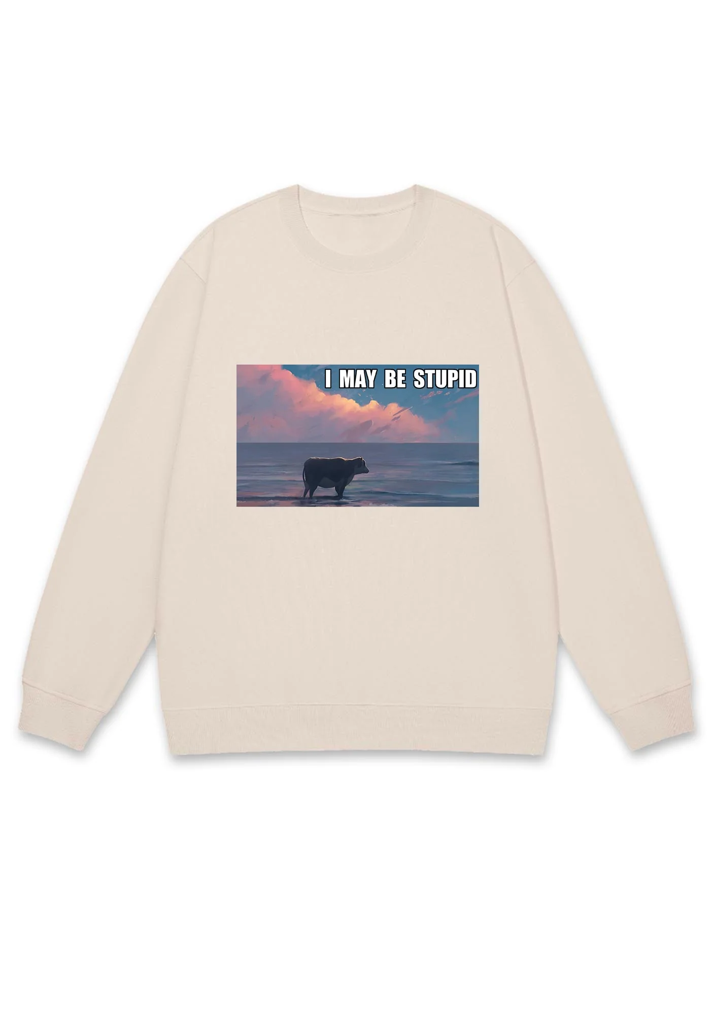 I May Be Stupid Meme Y2K Sweatshirt - Image 4