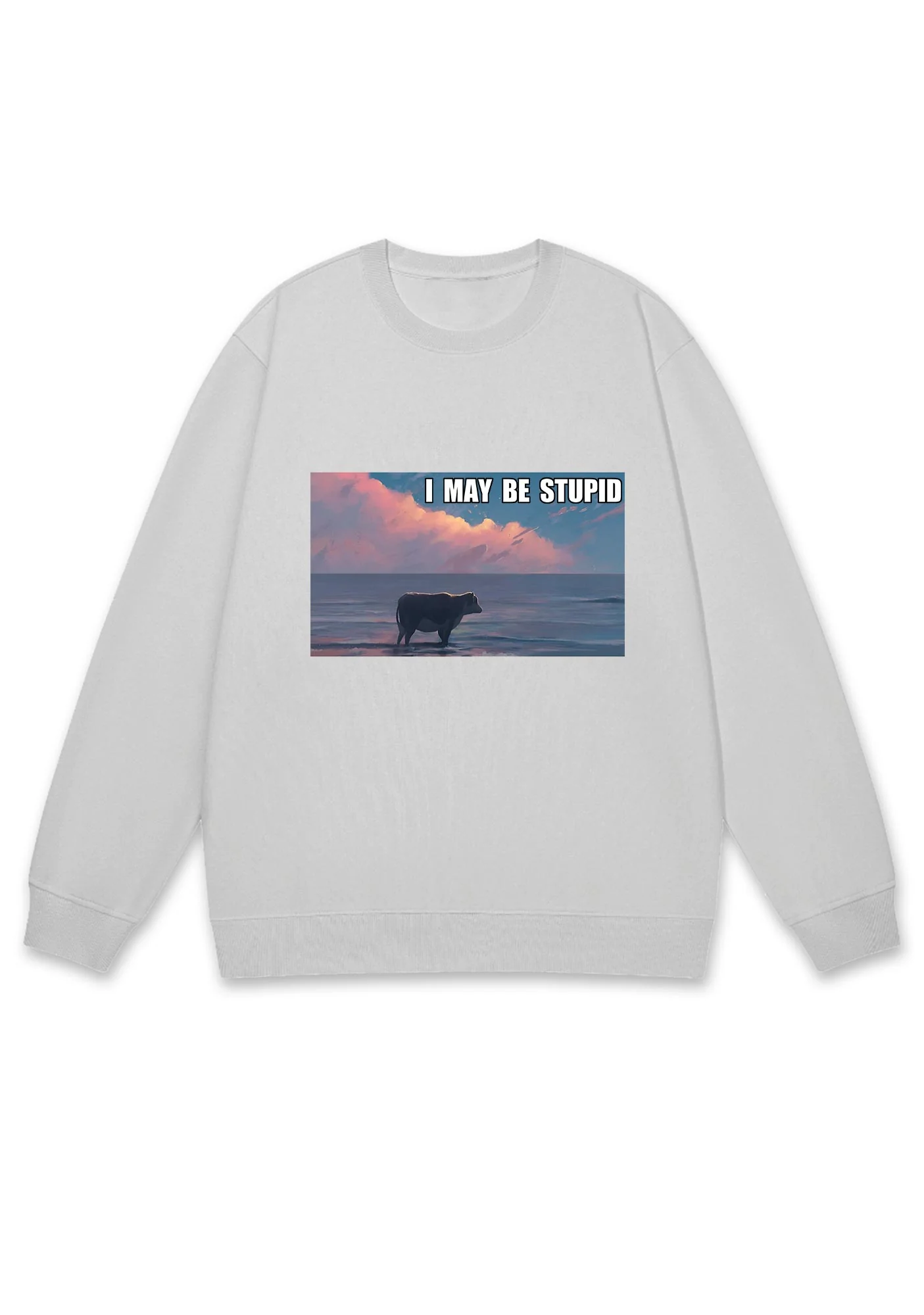I May Be Stupid Meme Y2K Sweatshirt - Image 5