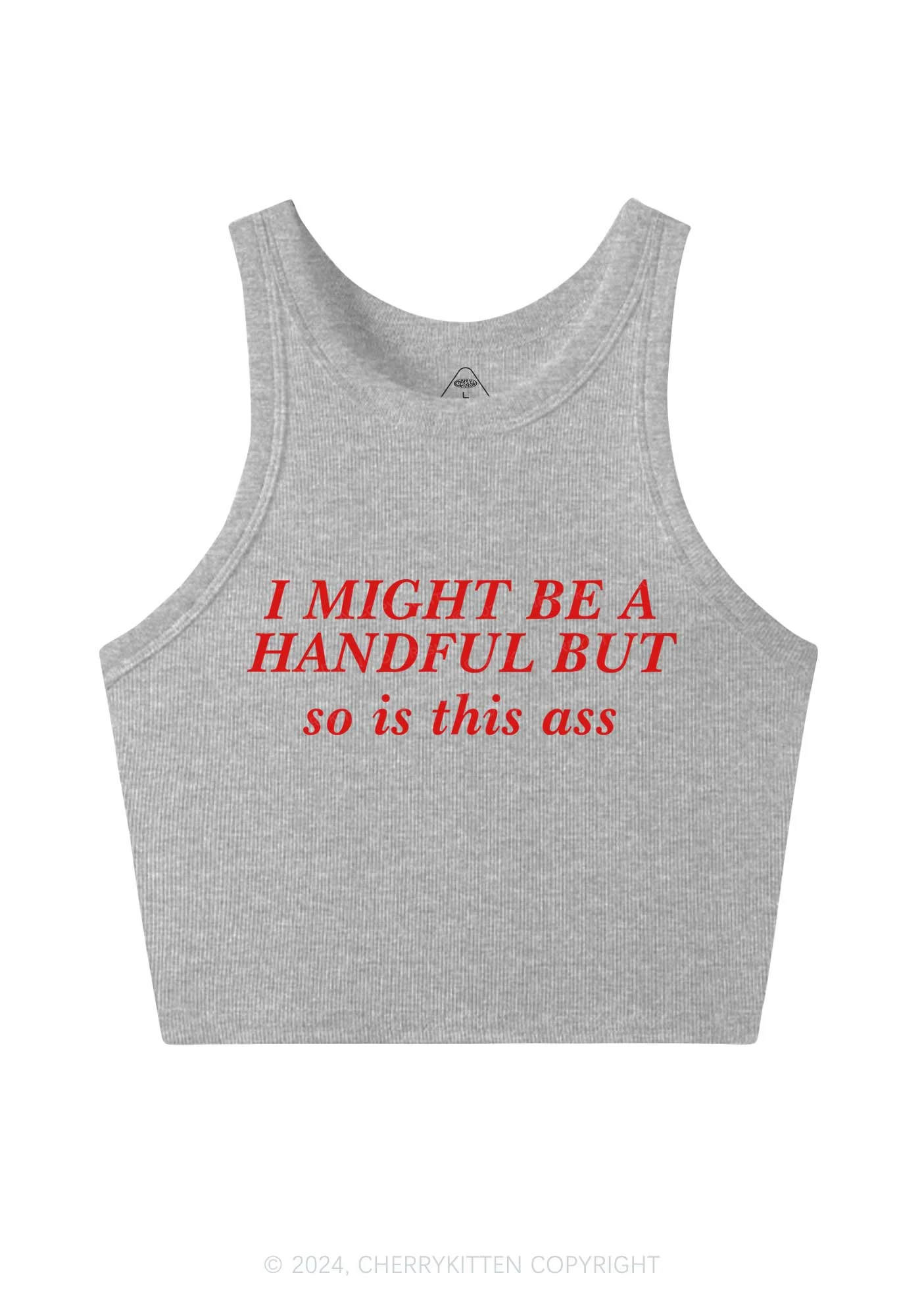 I Might Be Handful Y2K Crop Tank Top Cherrykitten - Image 4