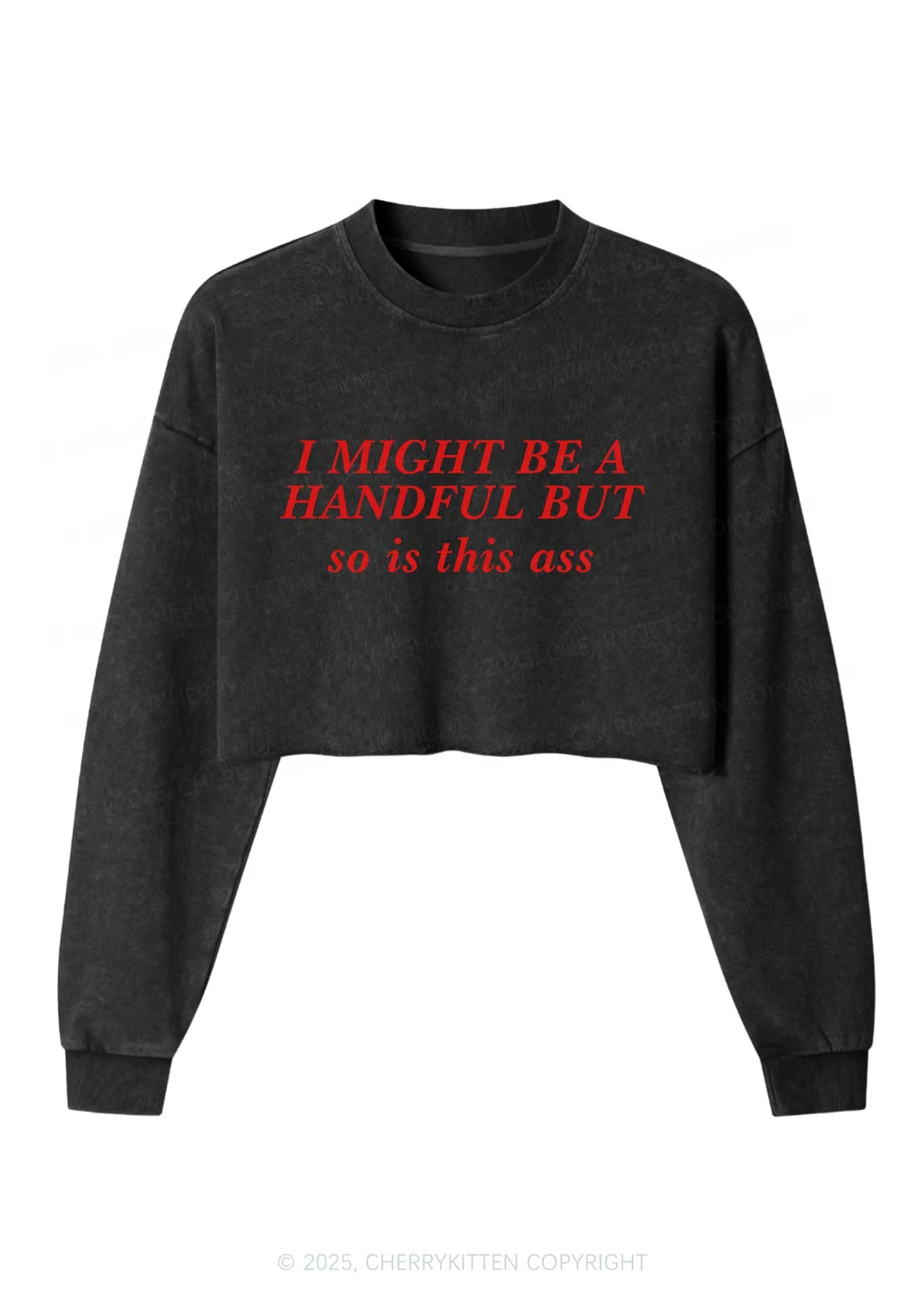 I Might Be Handful Y2K Crop Washed Sweatshirts Cherrykitten - Image 3