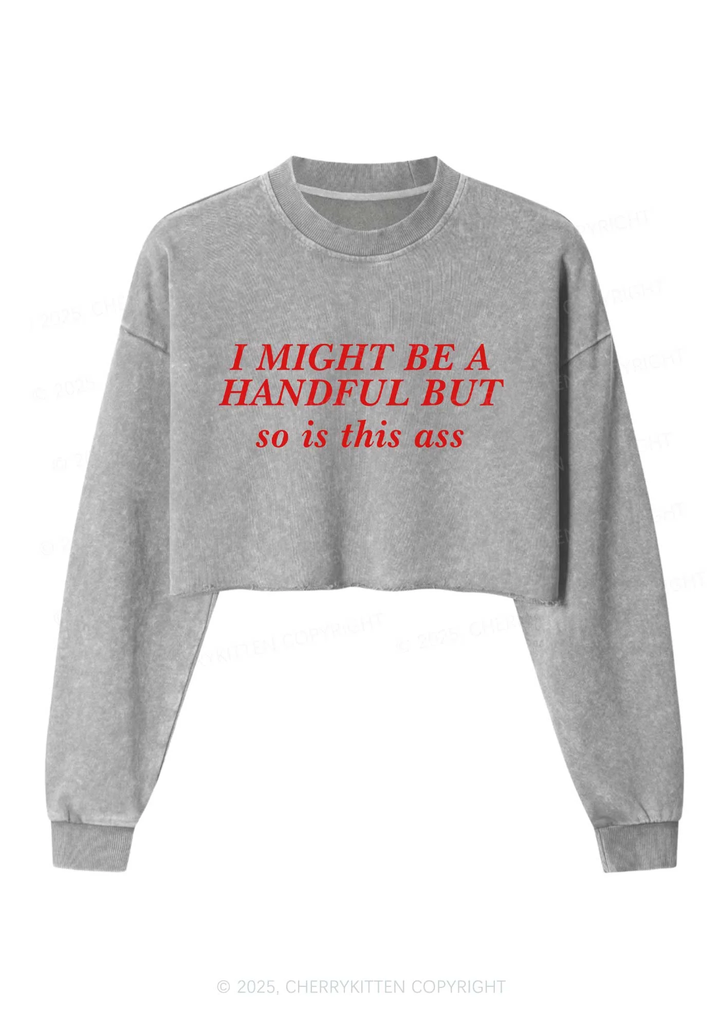I Might Be Handful Y2K Crop Washed Sweatshirts Cherrykitten - Image 4