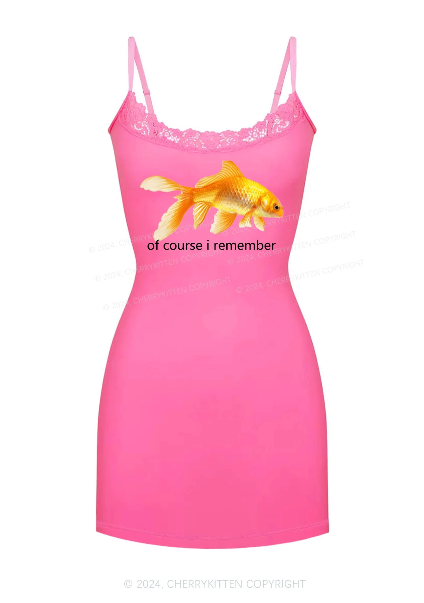 I Remember Goldfish Y2K Lace Slip Dress Cherrykitten - Image 3