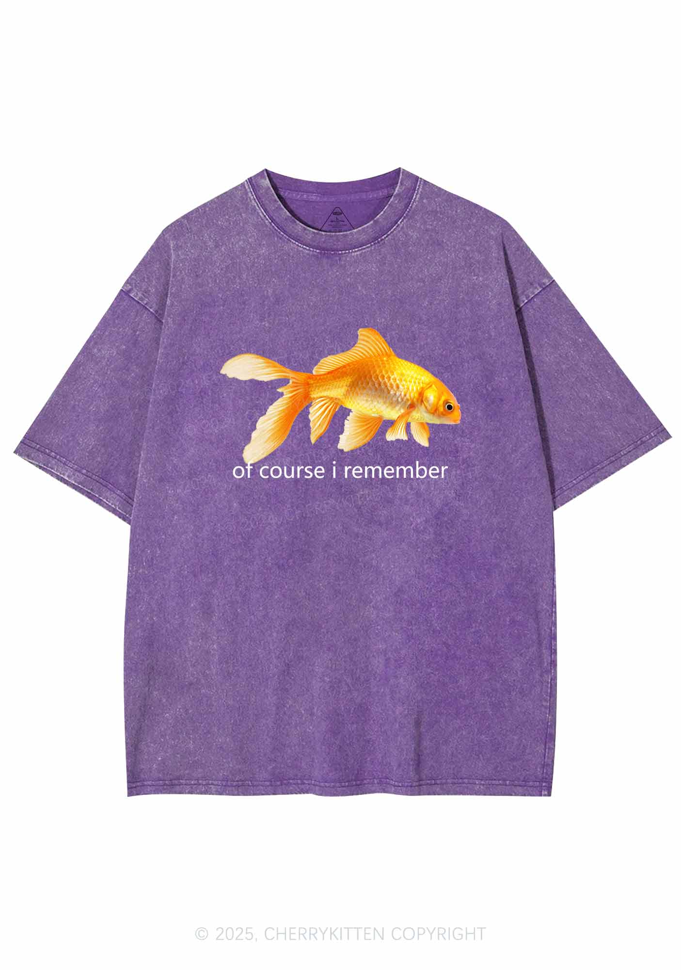 I Remember Goldfish Y2K Washed Tee Cherrykitten - Image 4