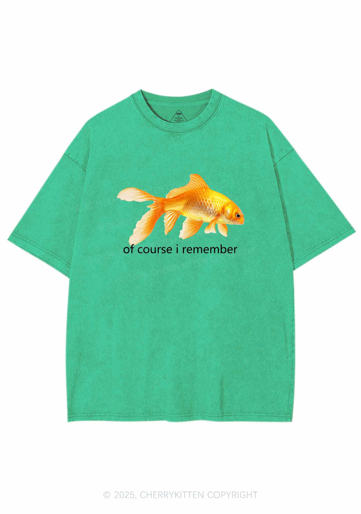 I Remember Goldfish Y2K Washed Tee Cherrykitten - Image 6