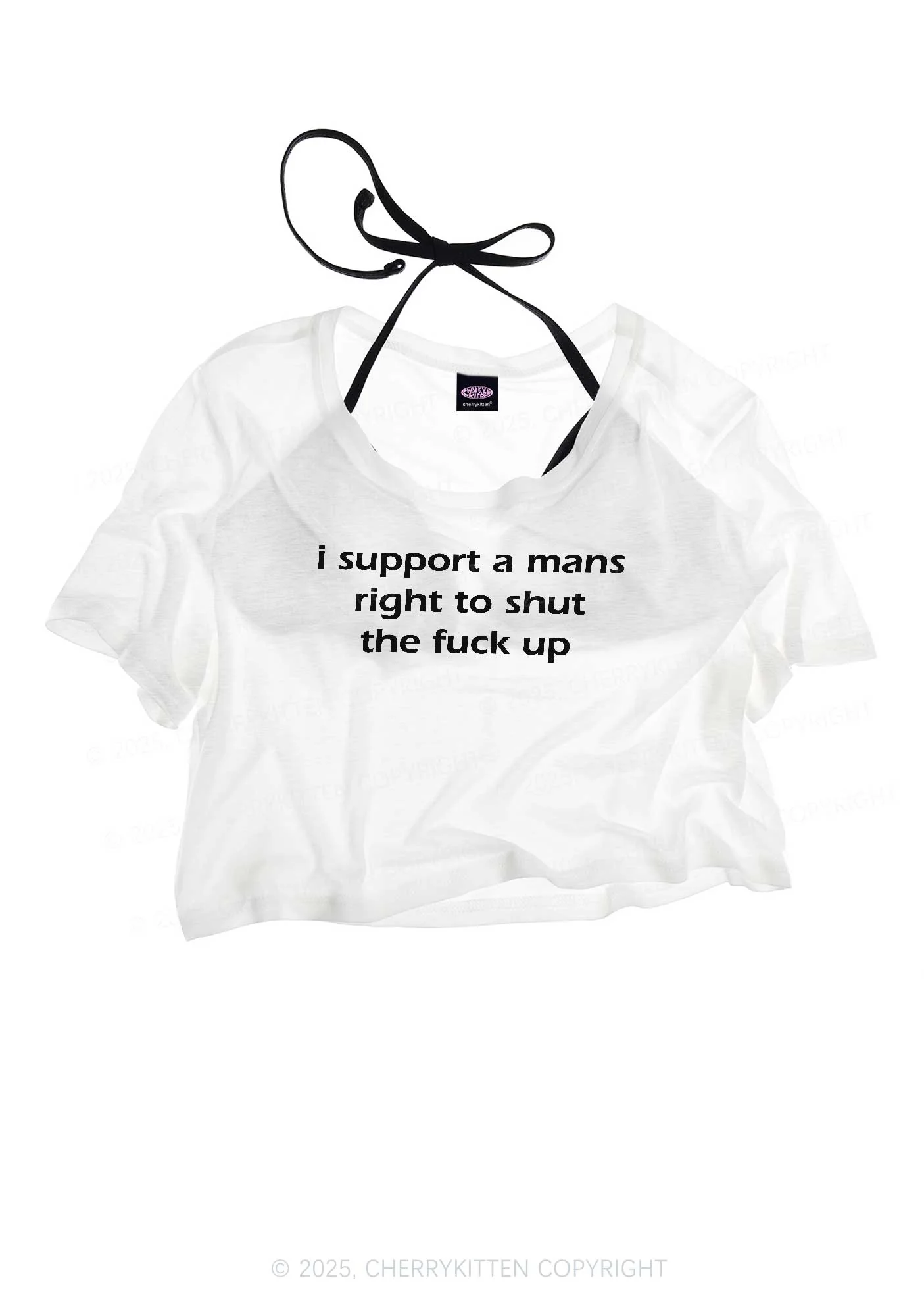 I Support A Mans Right  Y2K Sheer Crop Tee Cherrykitten - Image 3