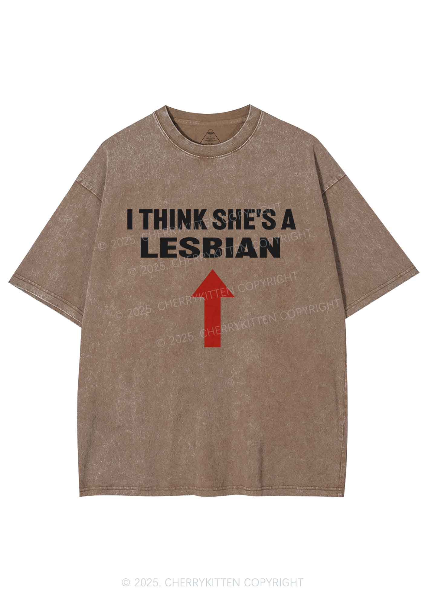 I Think She's A Lesbian Y2K Shirts Washed Tee Cherrykitten - Image 7