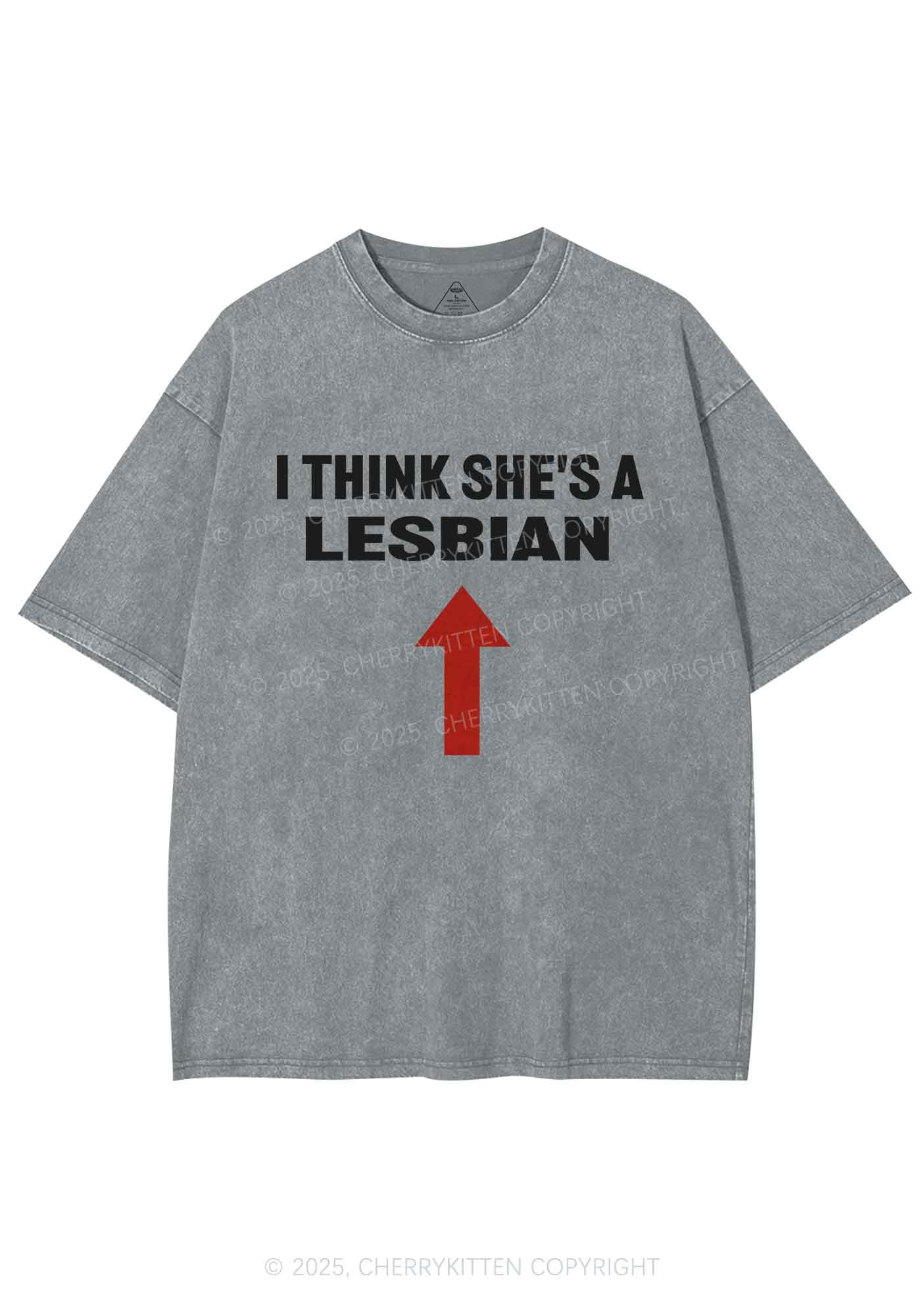 I Think She's A Lesbian Y2K Shirts Washed Tee Cherrykitten - Image 8