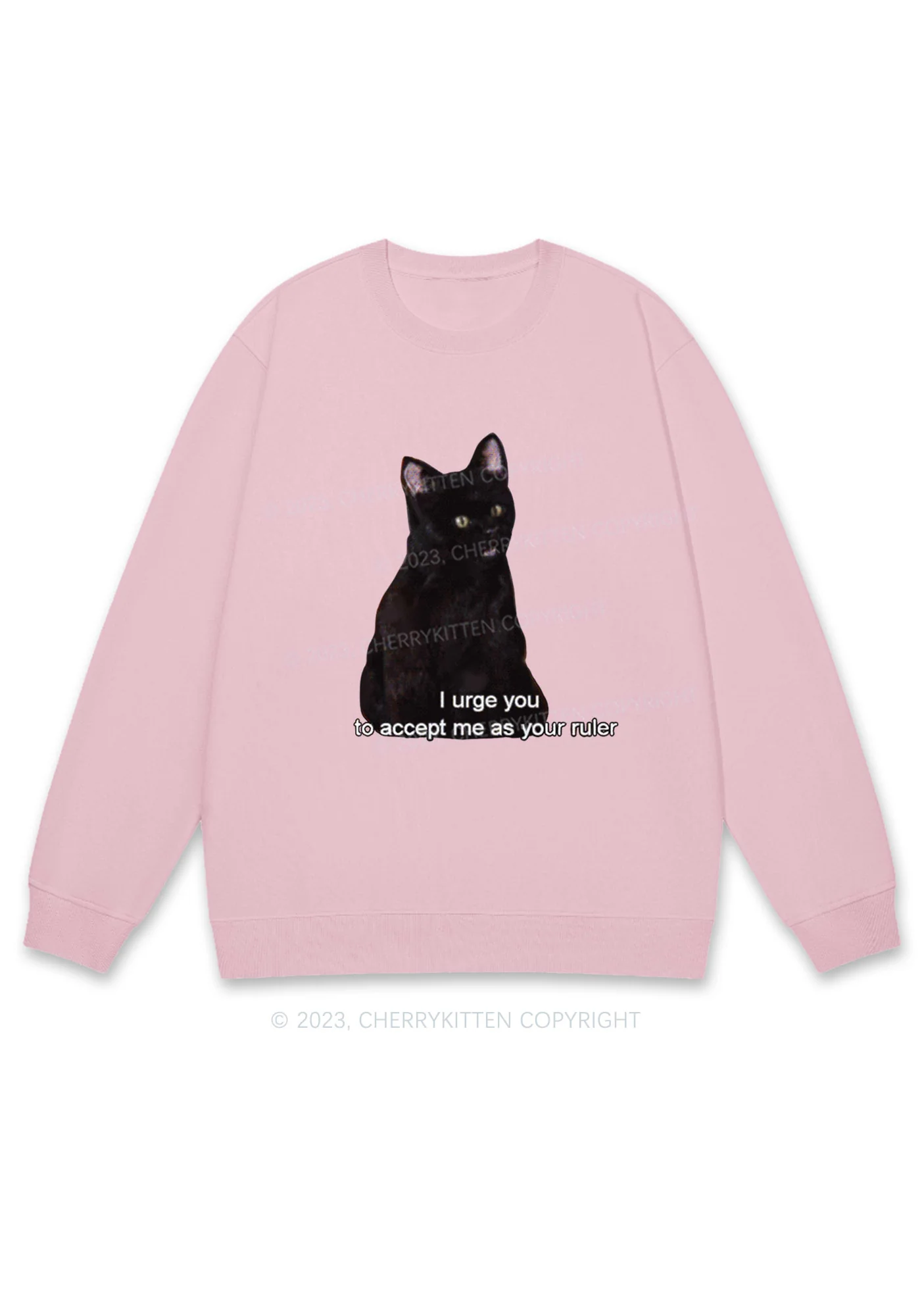 I Urge You To Accept Me As Your Ruler Halloween Y2K Sweatshirt Cherrykitten - Image 6