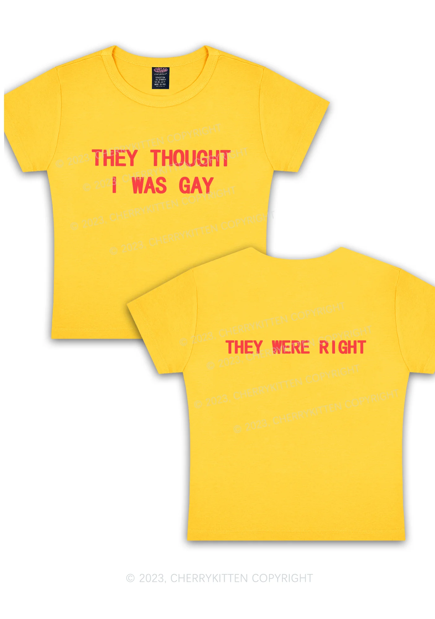 I Was Gay Two Sides Y2K Baby Tee Cherrykitten - Image 5