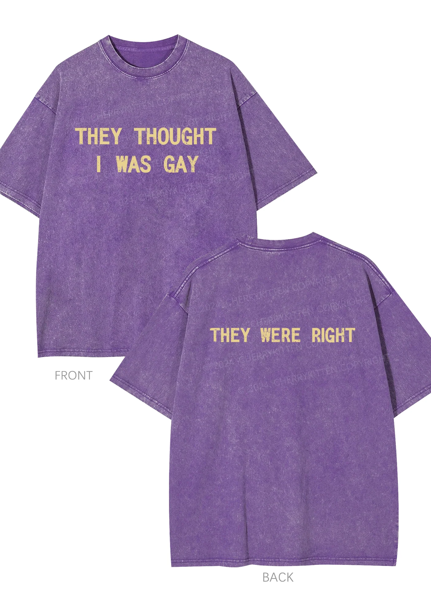 I Was Gay Two Sides Y2K Washed Tee Cherrykitten - Image 4