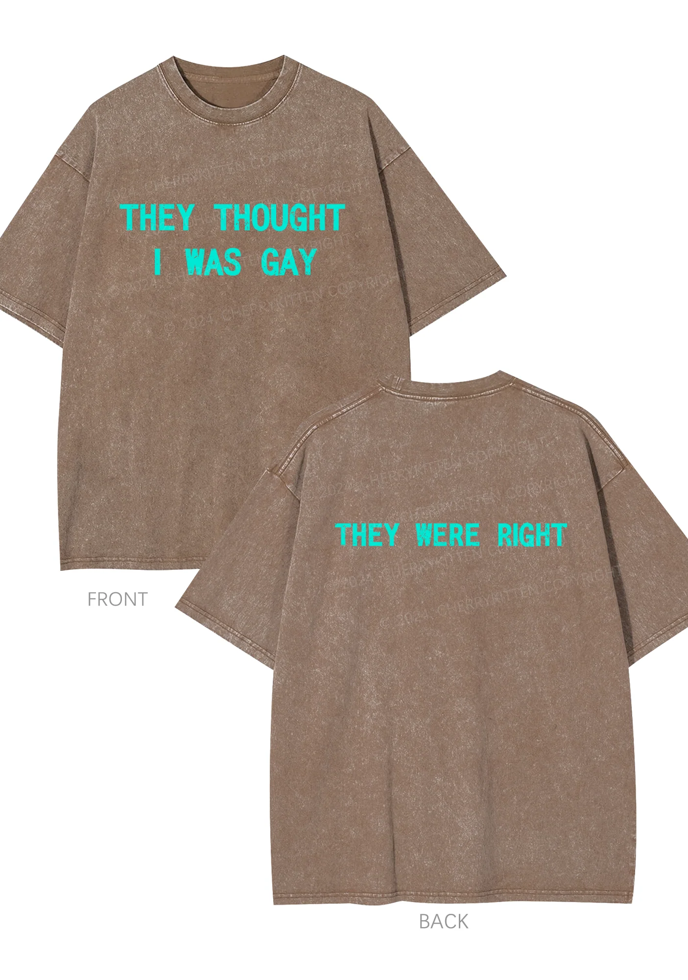 I Was Gay Two Sides Y2K Washed Tee Cherrykitten - Image 6