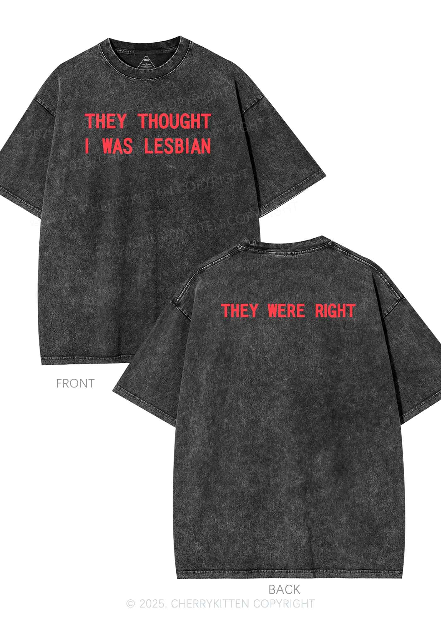 I Was Lesbian Two Sides Pride Y2K Shirts Washed Tee Cherrykitten - Image 4