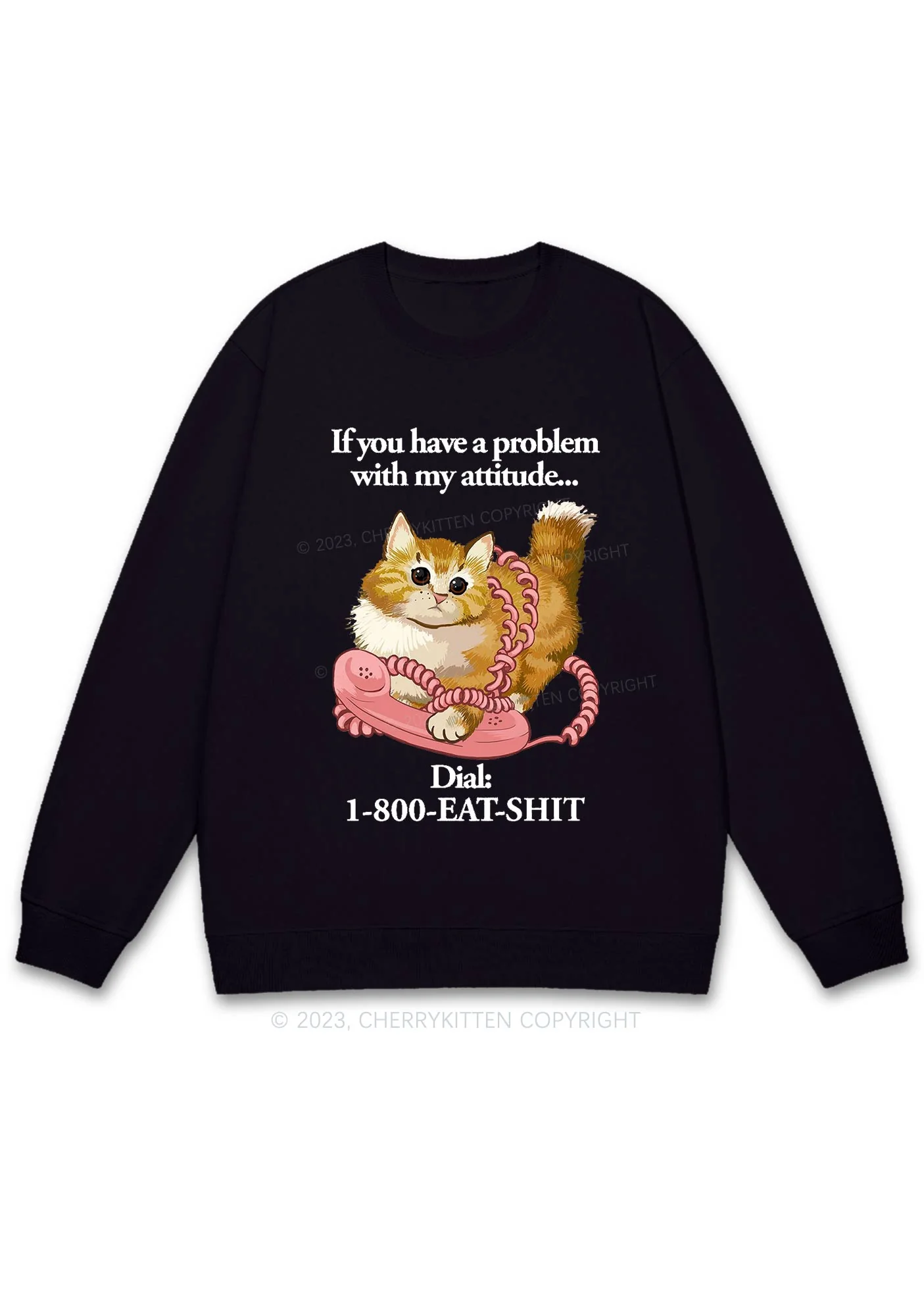 If You Have A Problem With My Attitude Y2K Sweatshirt Cherrykitten - Image 2