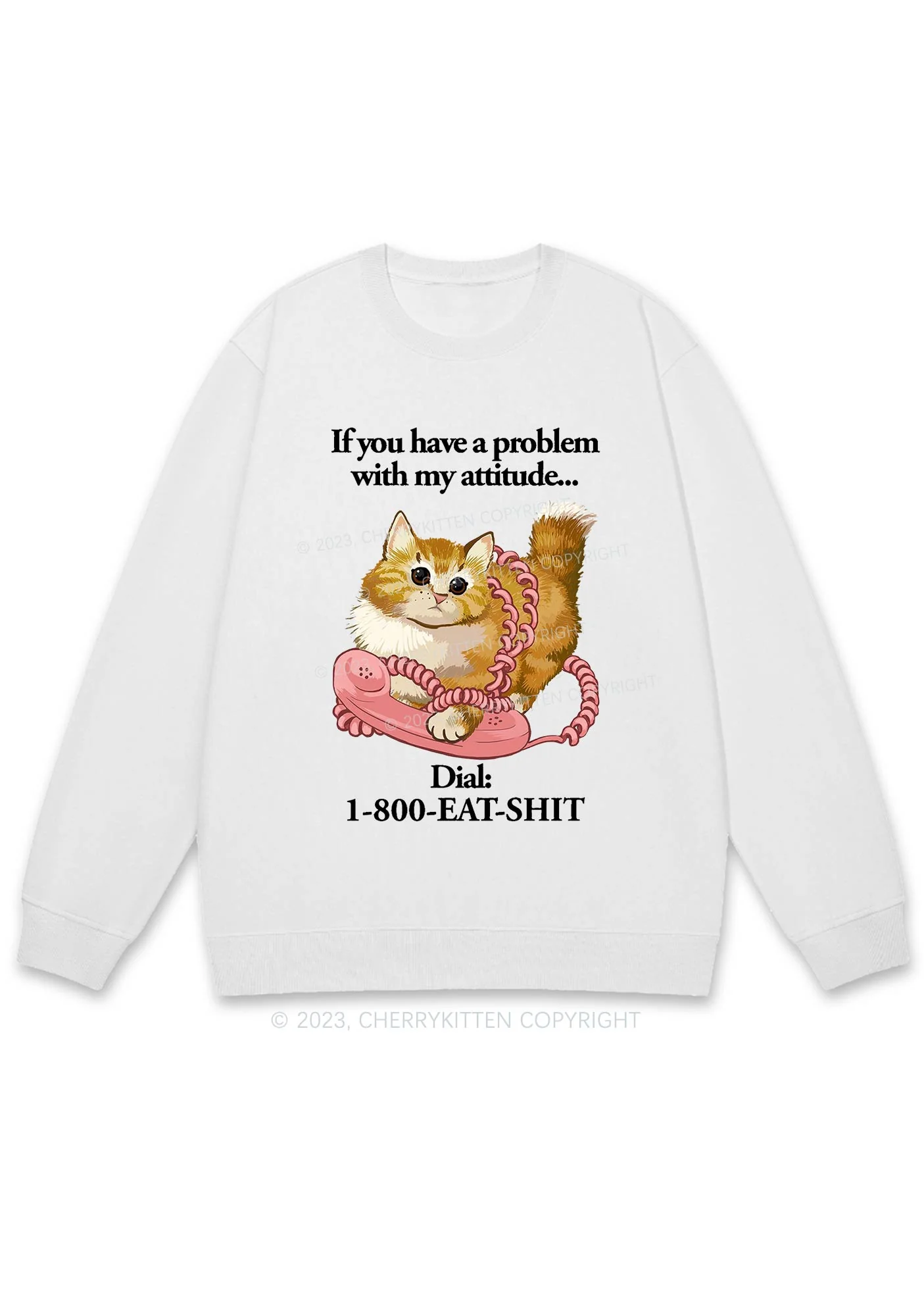 If You Have A Problem With My Attitude Y2K Sweatshirt Cherrykitten - Image 3