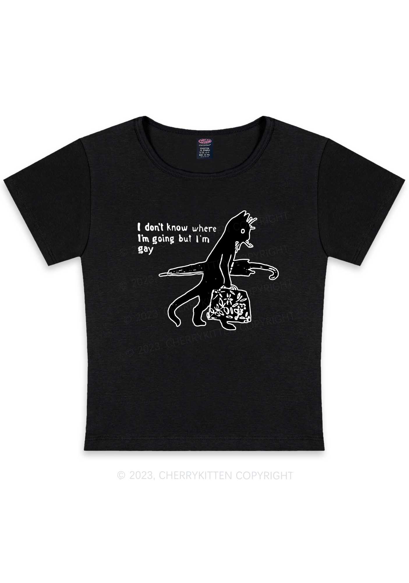 I'm Gay Y2K Baby Tee Cherrykitten - Image 4