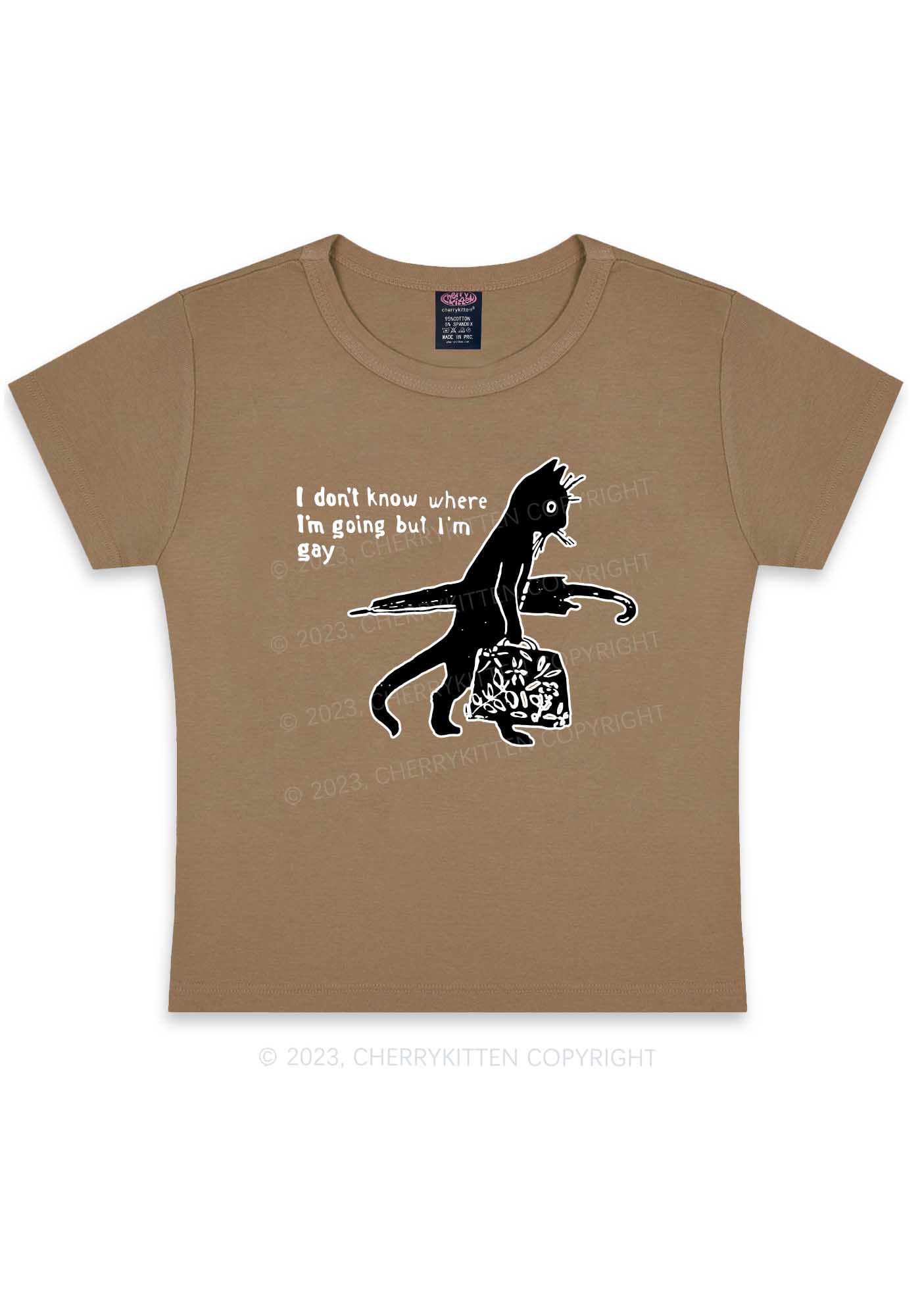 I'm Gay Y2K Baby Tee Cherrykitten - Image 7