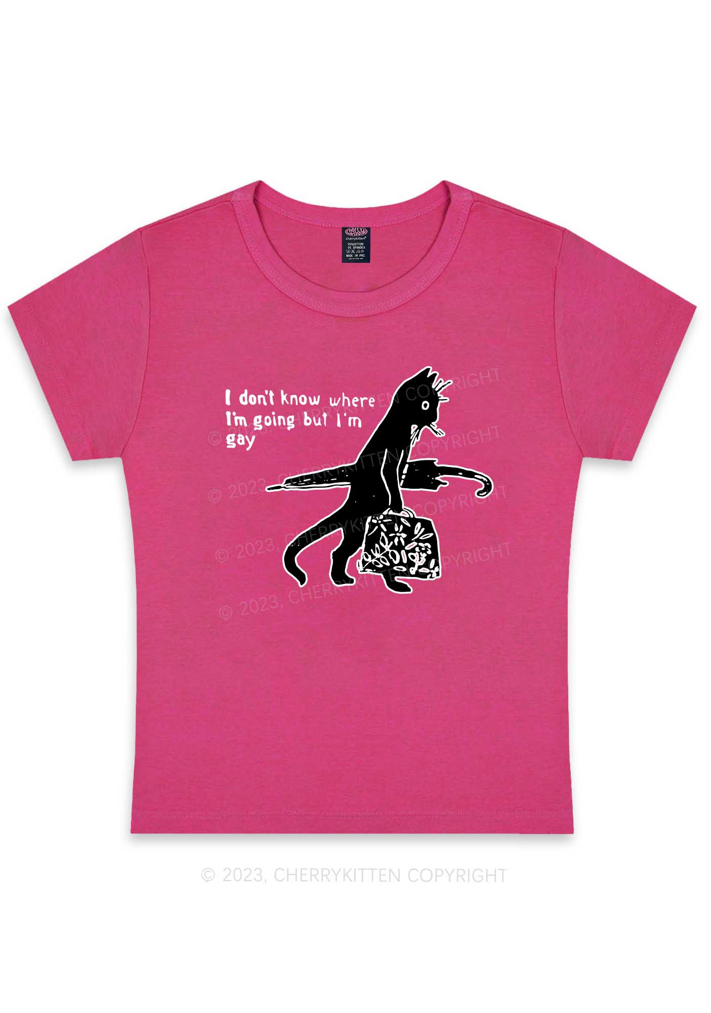 I'm Gay Y2K Baby Tee Cherrykitten - Image 8