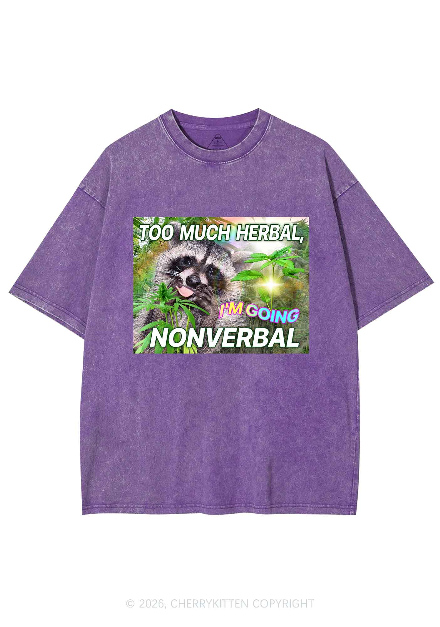 Im Going Nonverbal Y2K Shirts Washed Tee Cherrykitten - Image 5