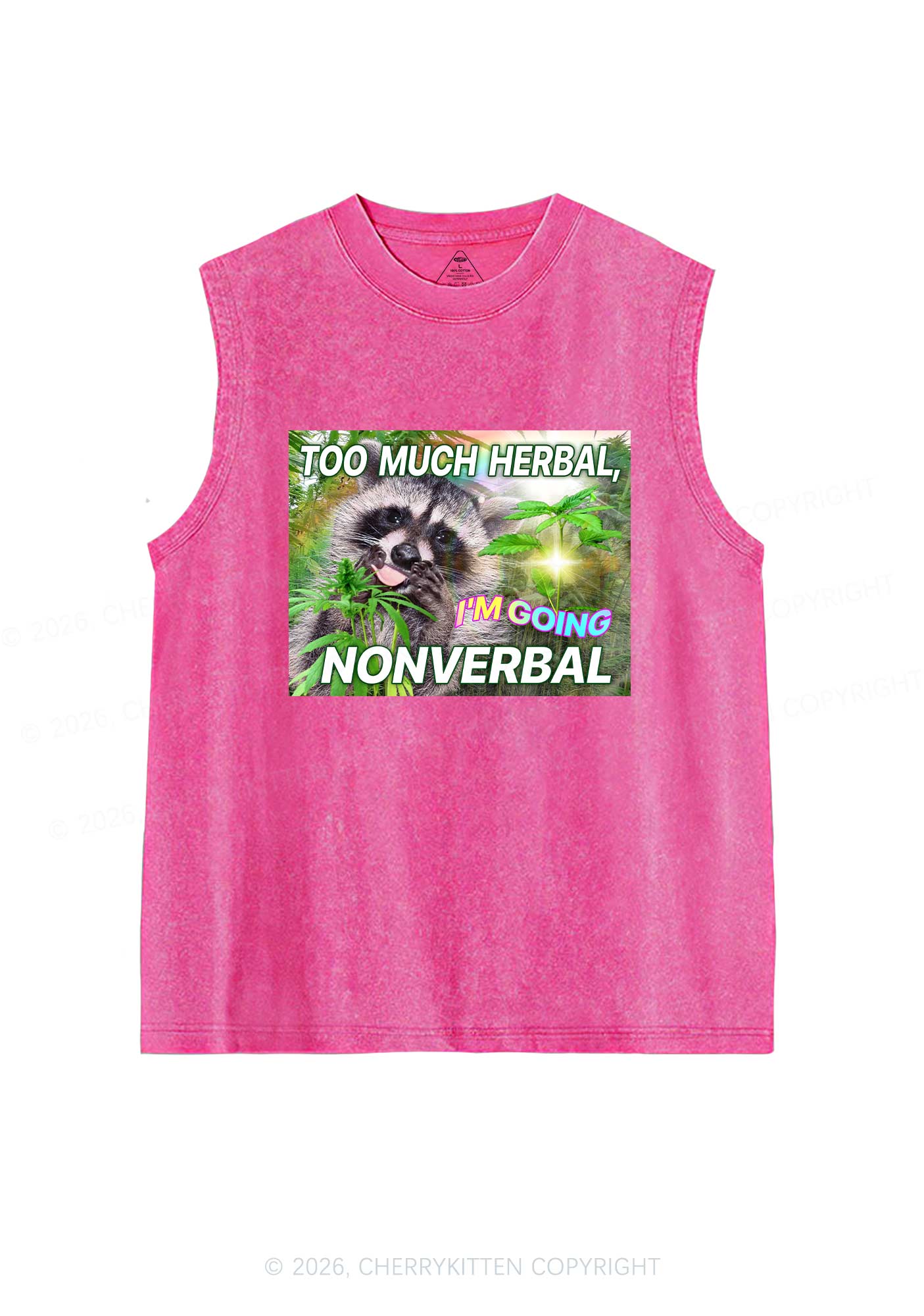 Im Going Nonverbal Y2K Washed Muscle Tank Cherrykitten - Image 3