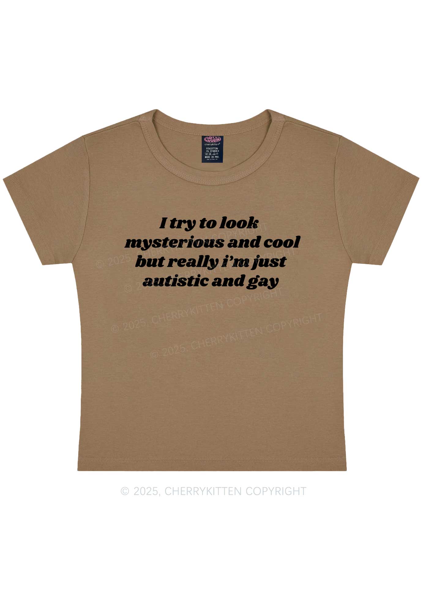 Im Just Autistic And Gay Pride Y2K Baby Tee Cherrykitten - Image 10