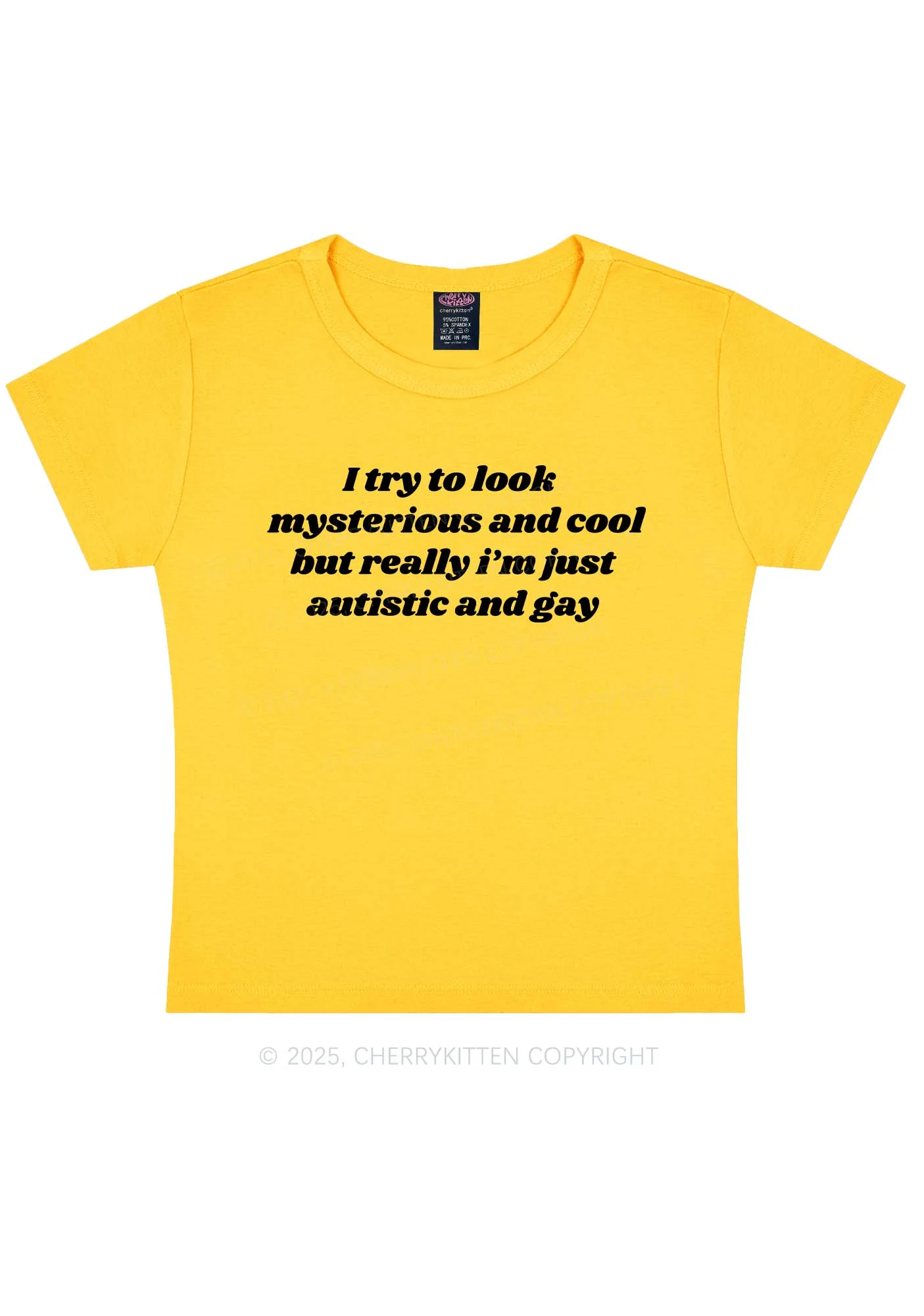 Im Just Autistic And Gay Pride Y2K Baby Tee Cherrykitten - Image 5