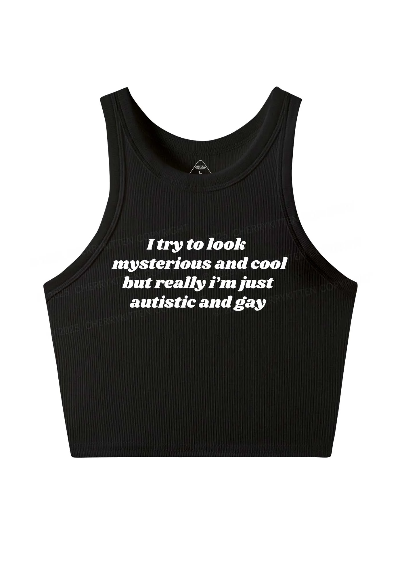 Im Just Autistic And Gay Pride Y2K Crop Tank Top Cherrykitten - Image 3