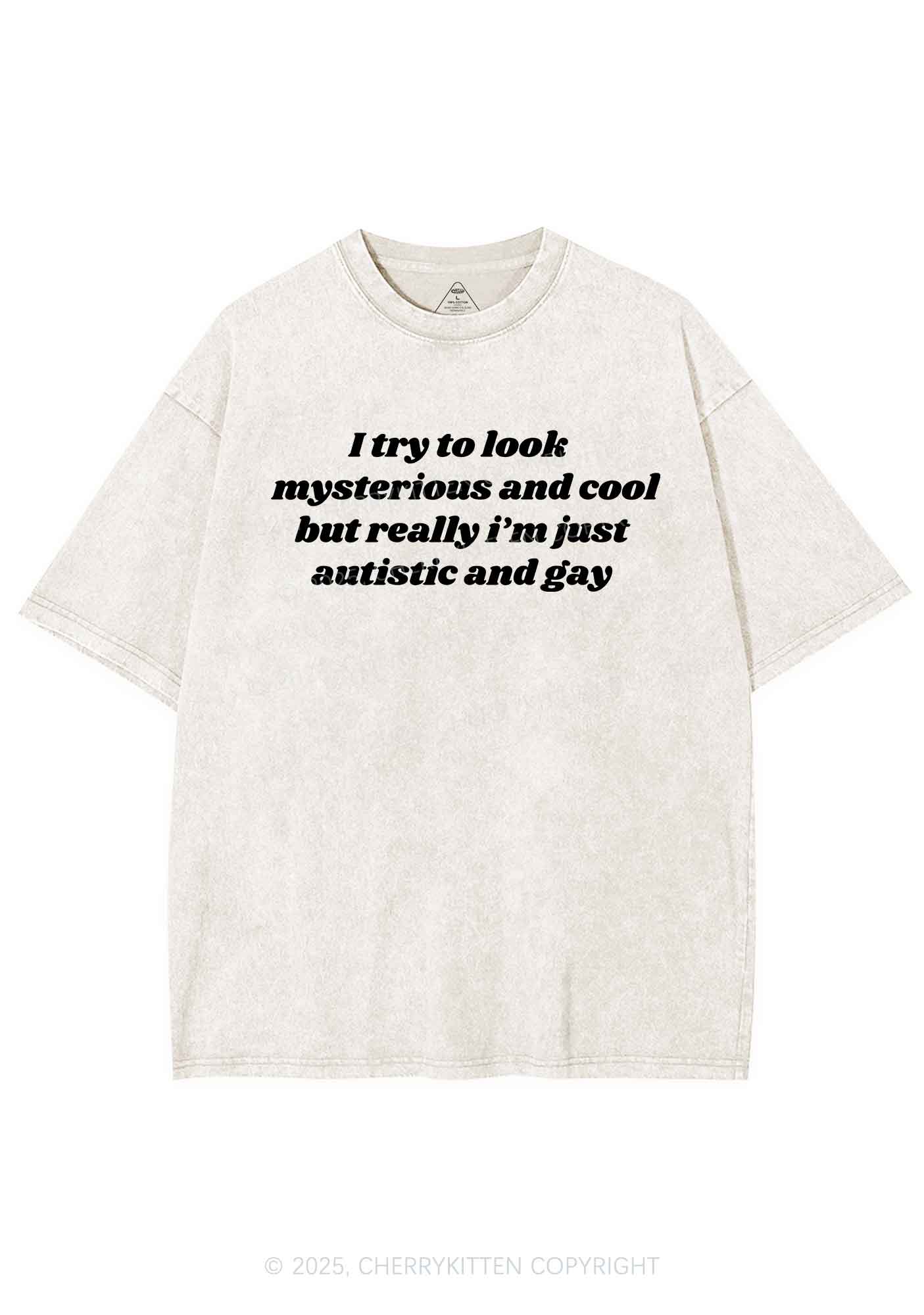 Im Just Autistic And Gay Pride Y2K Shirts Washed Tee Cherrykitten - Image 3