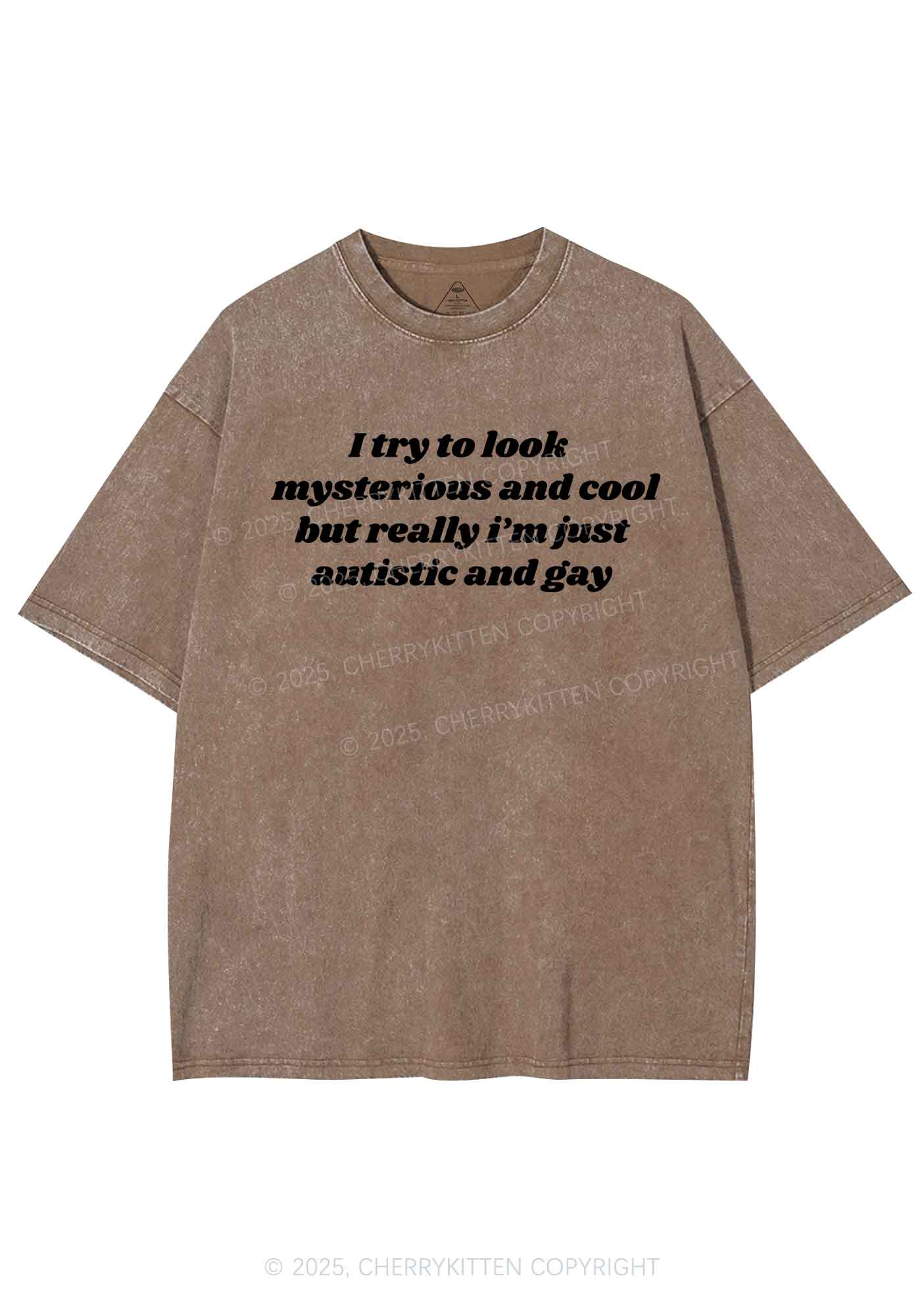 Im Just Autistic And Gay Pride Y2K Shirts Washed Tee Cherrykitten - Image 6