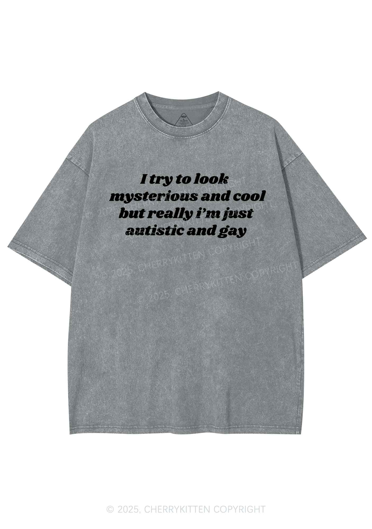 Im Just Autistic And Gay Pride Y2K Shirts Washed Tee Cherrykitten - Image 7